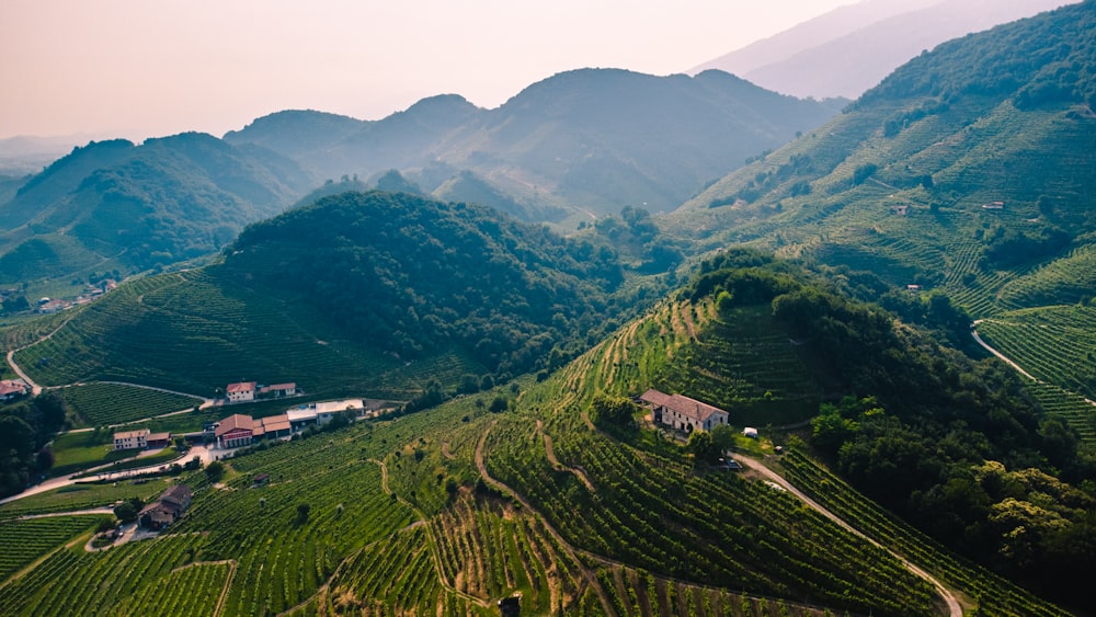 campo di erba verde vicino alla montagna durante il giorno