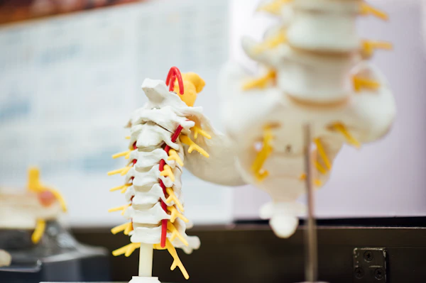 How Much Should a Boston Chiropractor Spend on Marketing in 2026?