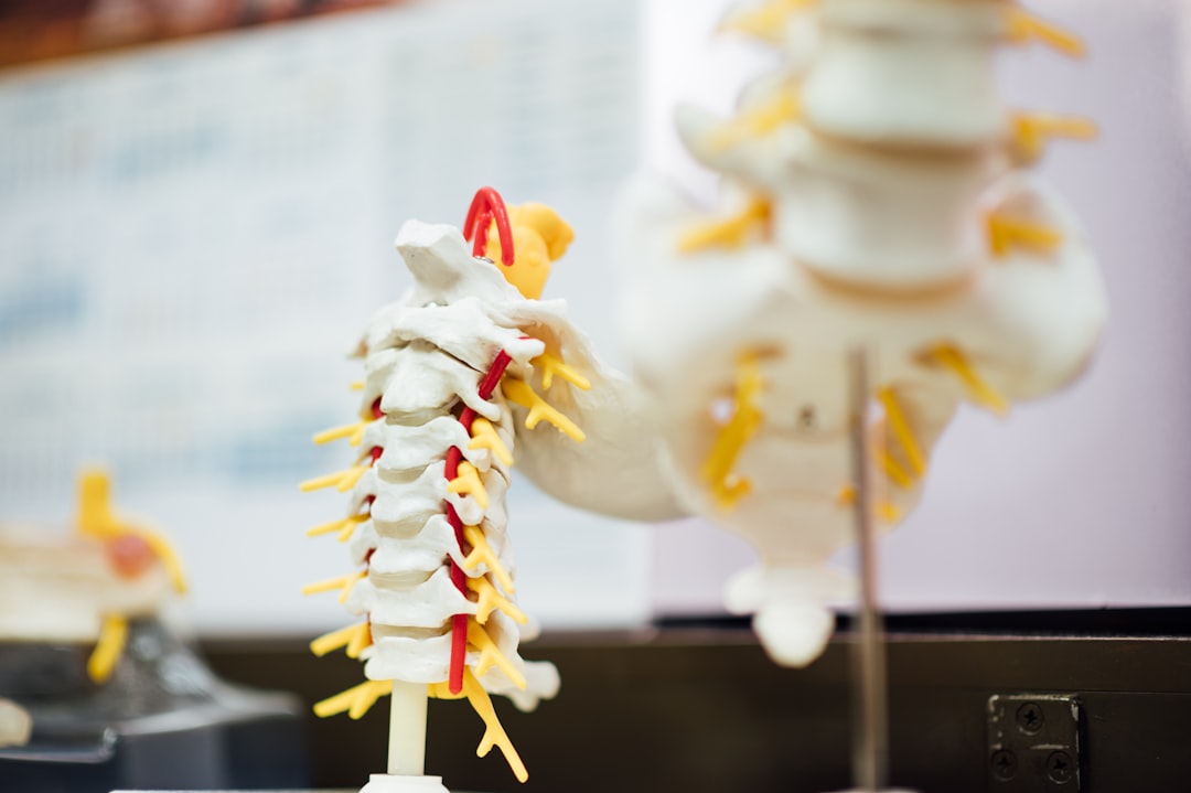Types of Accidents That Cause Spinal Cord Injuries