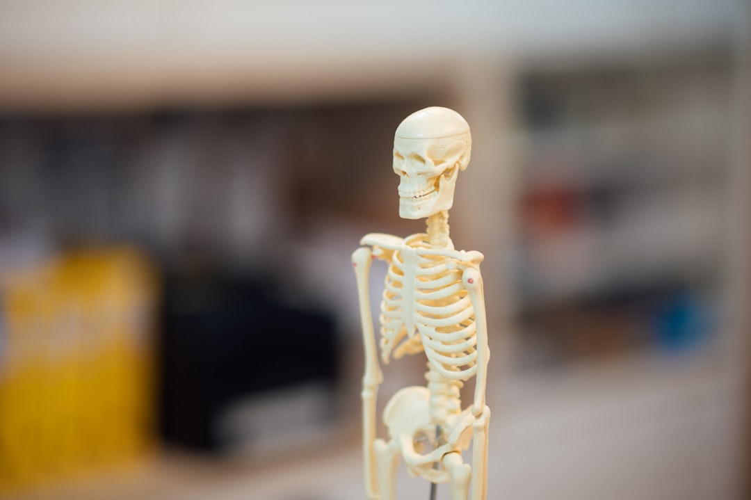 gold human skeleton figurine on brown wooden table