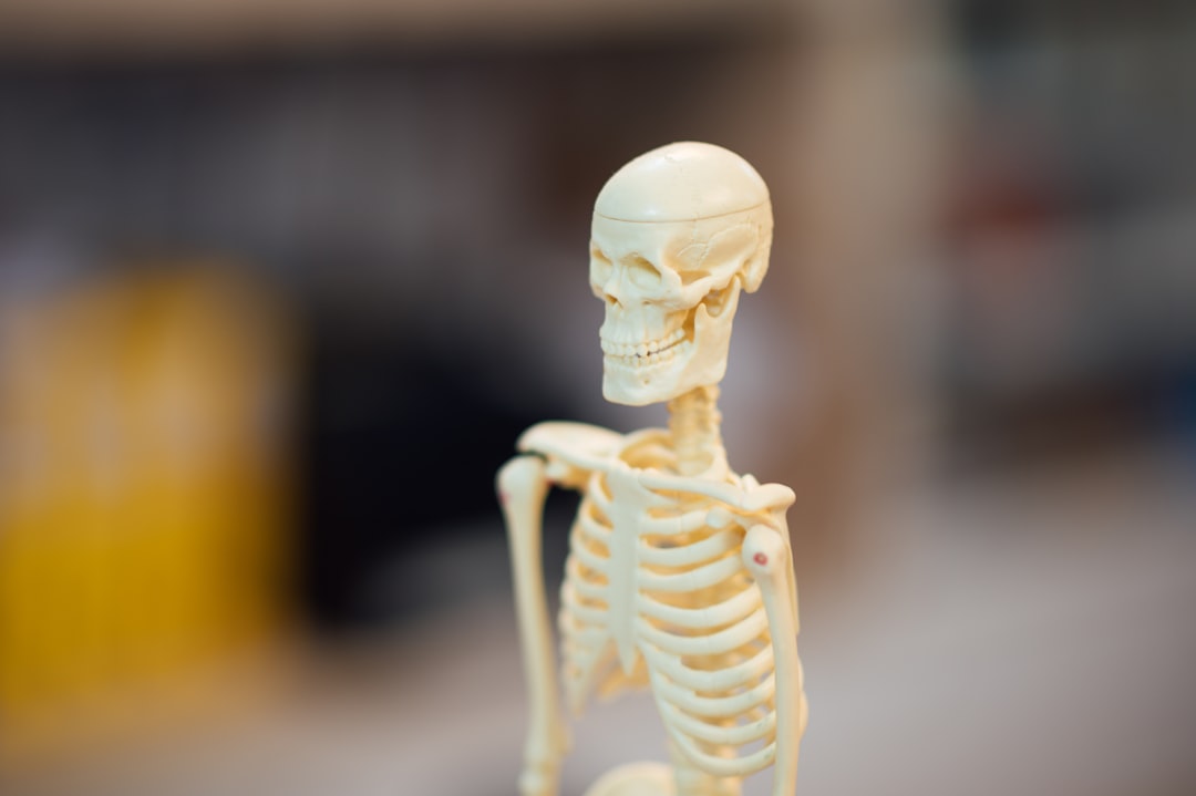 white skeleton figurine on black table