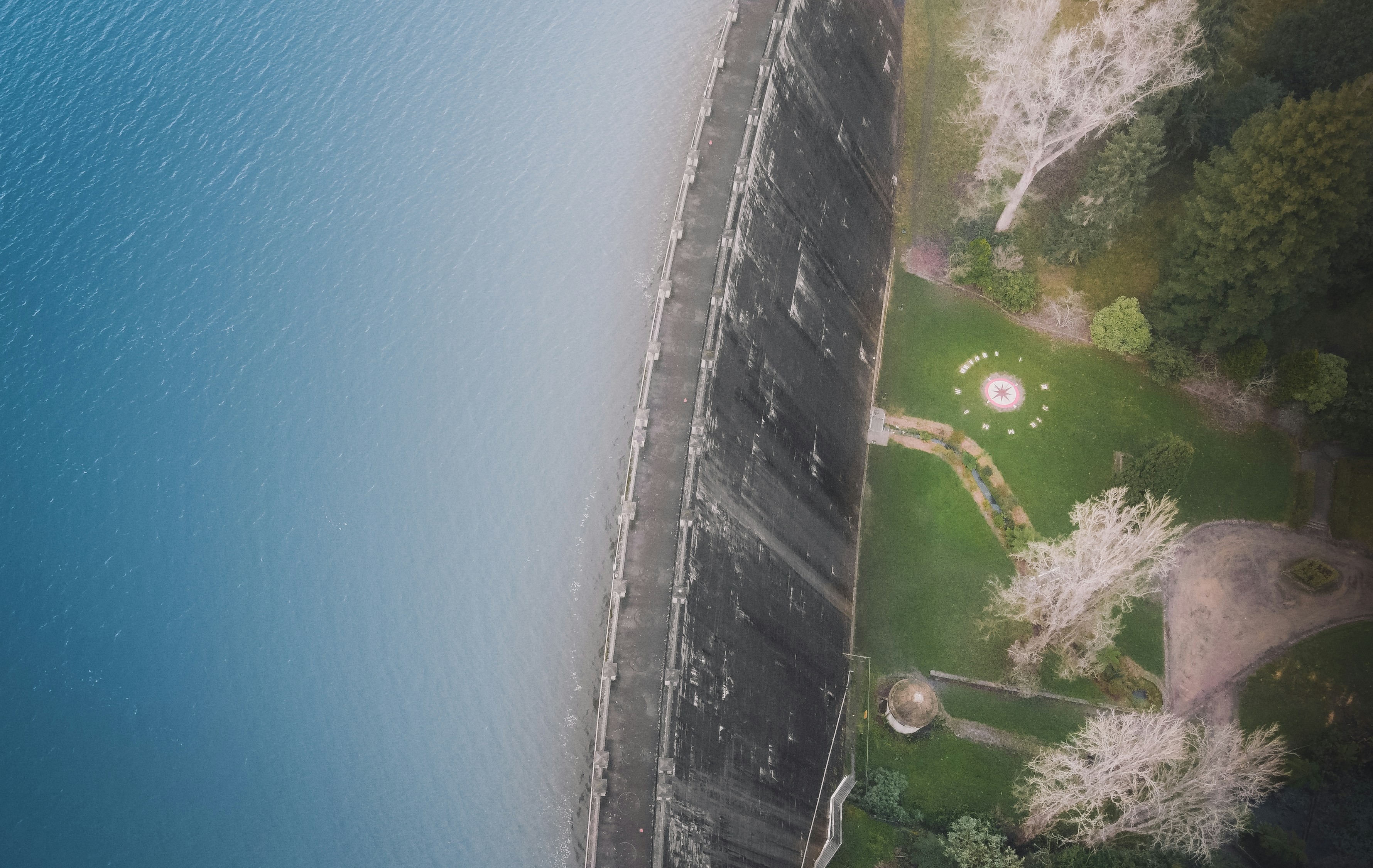 green grass field near body of water during daytime