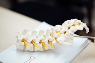 scoliosis treatment in lahore
