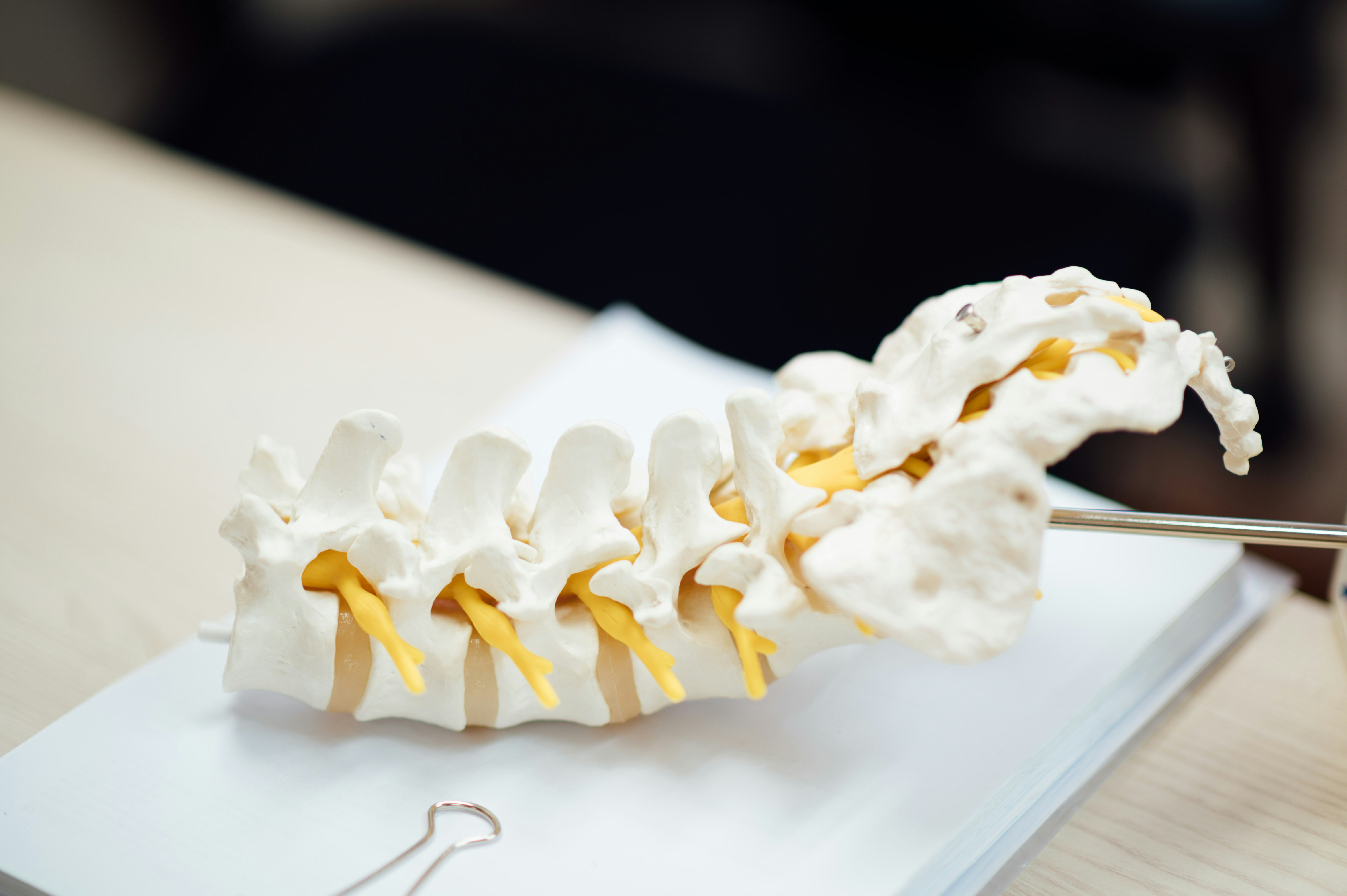 Oxalates and Bone Pain: What the Research Suggests – The Ultimate Guide
