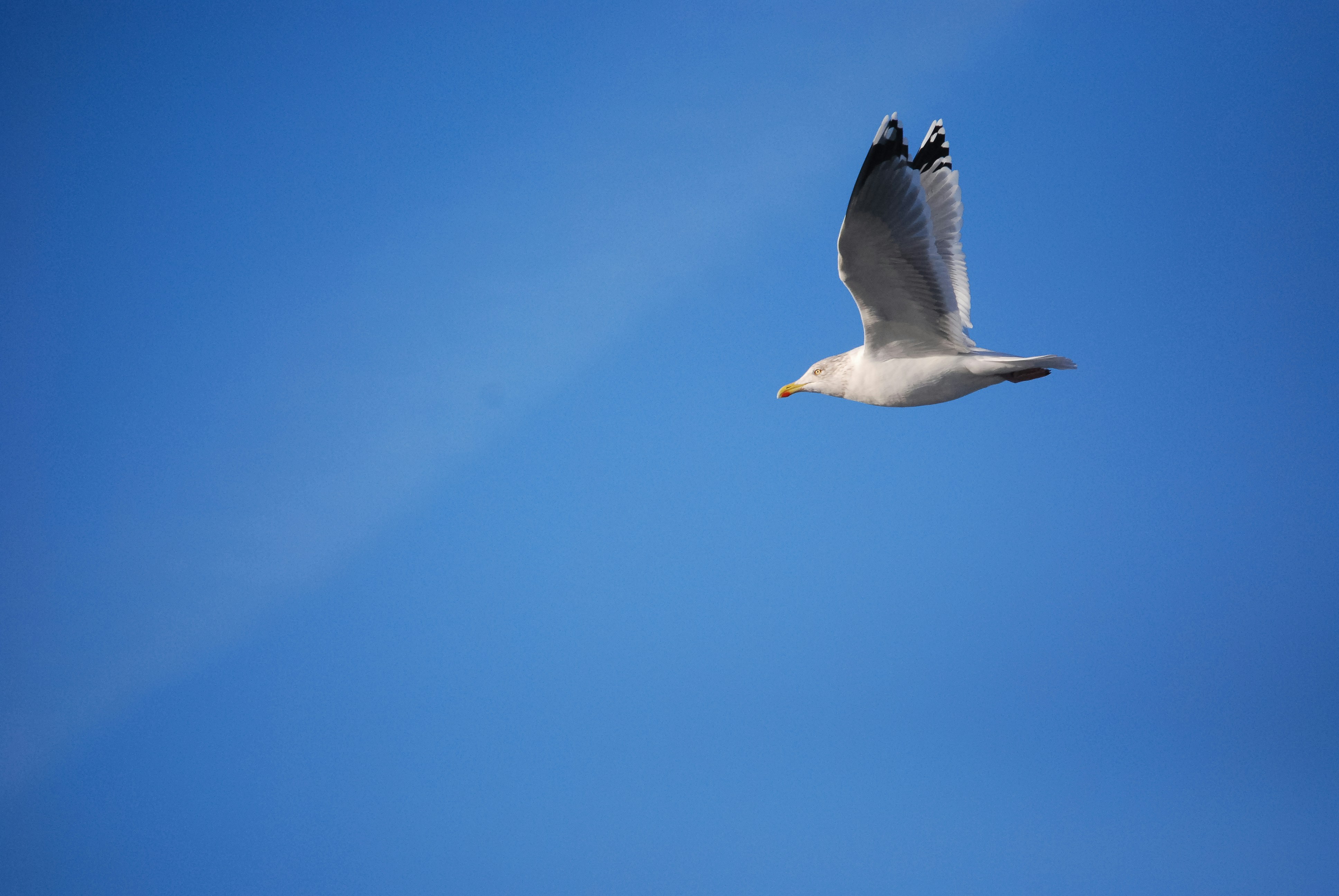 Photo by merlijnrene