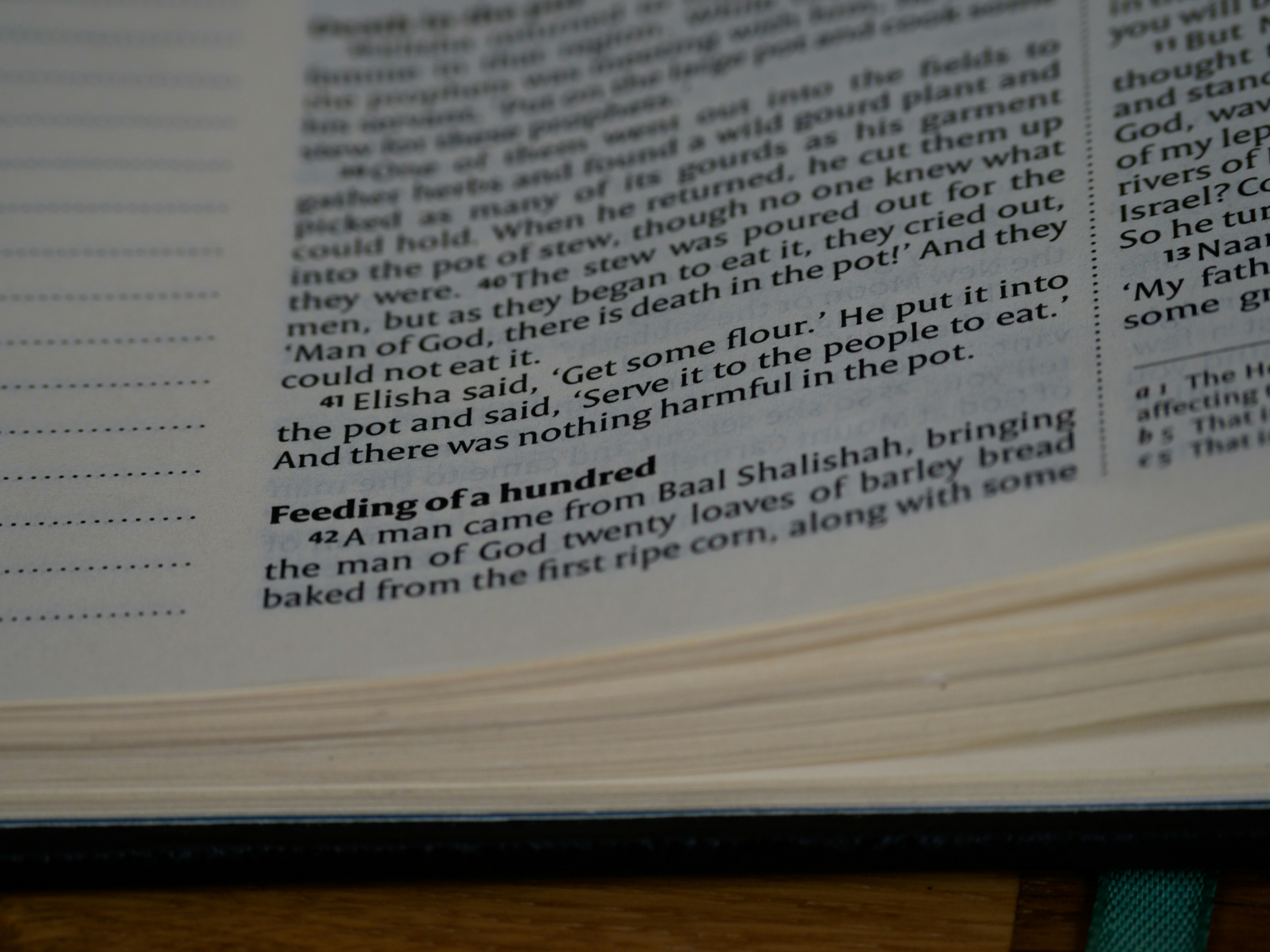 Photo by brett_jordan