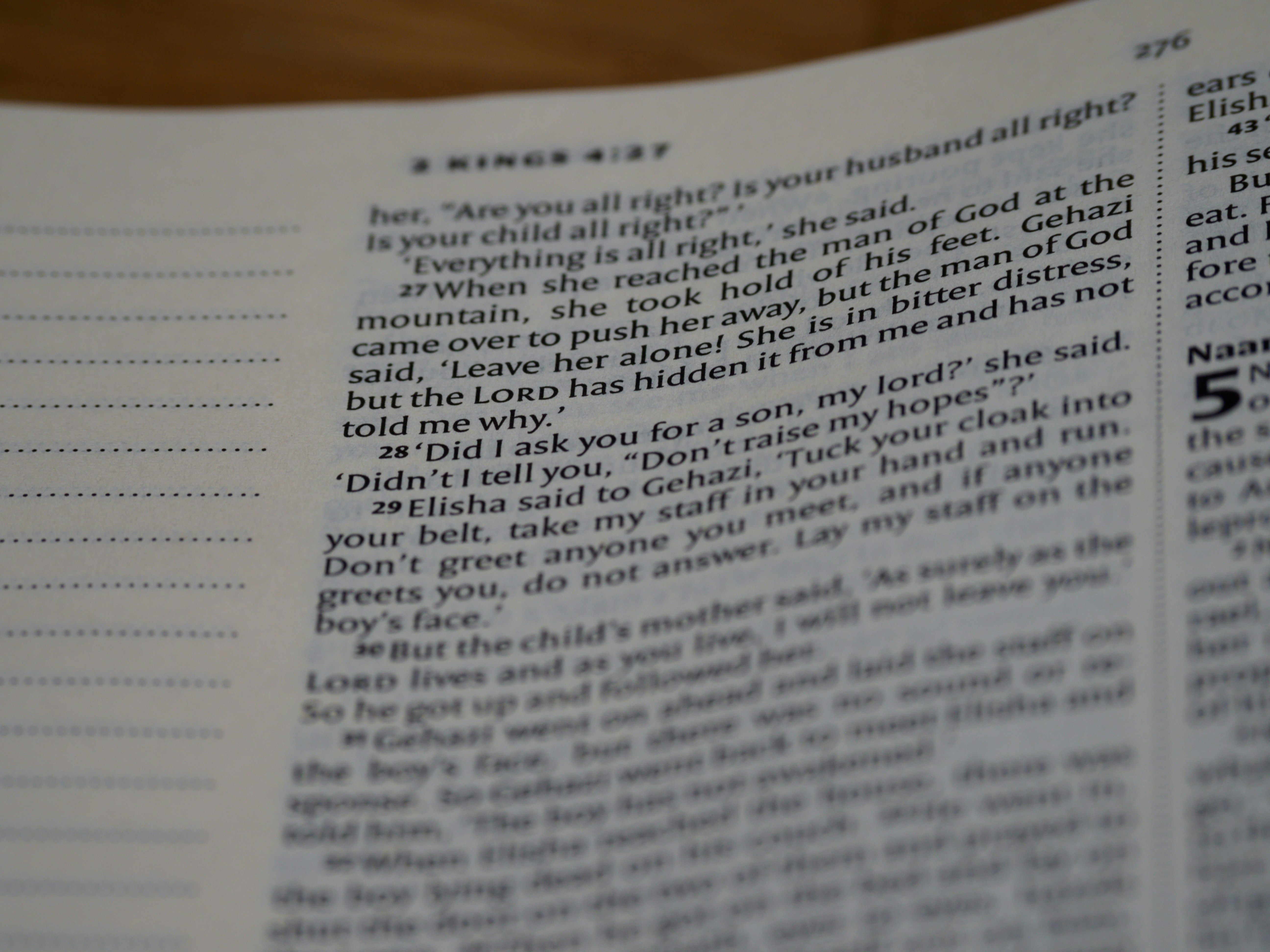 Photo by brett_jordan