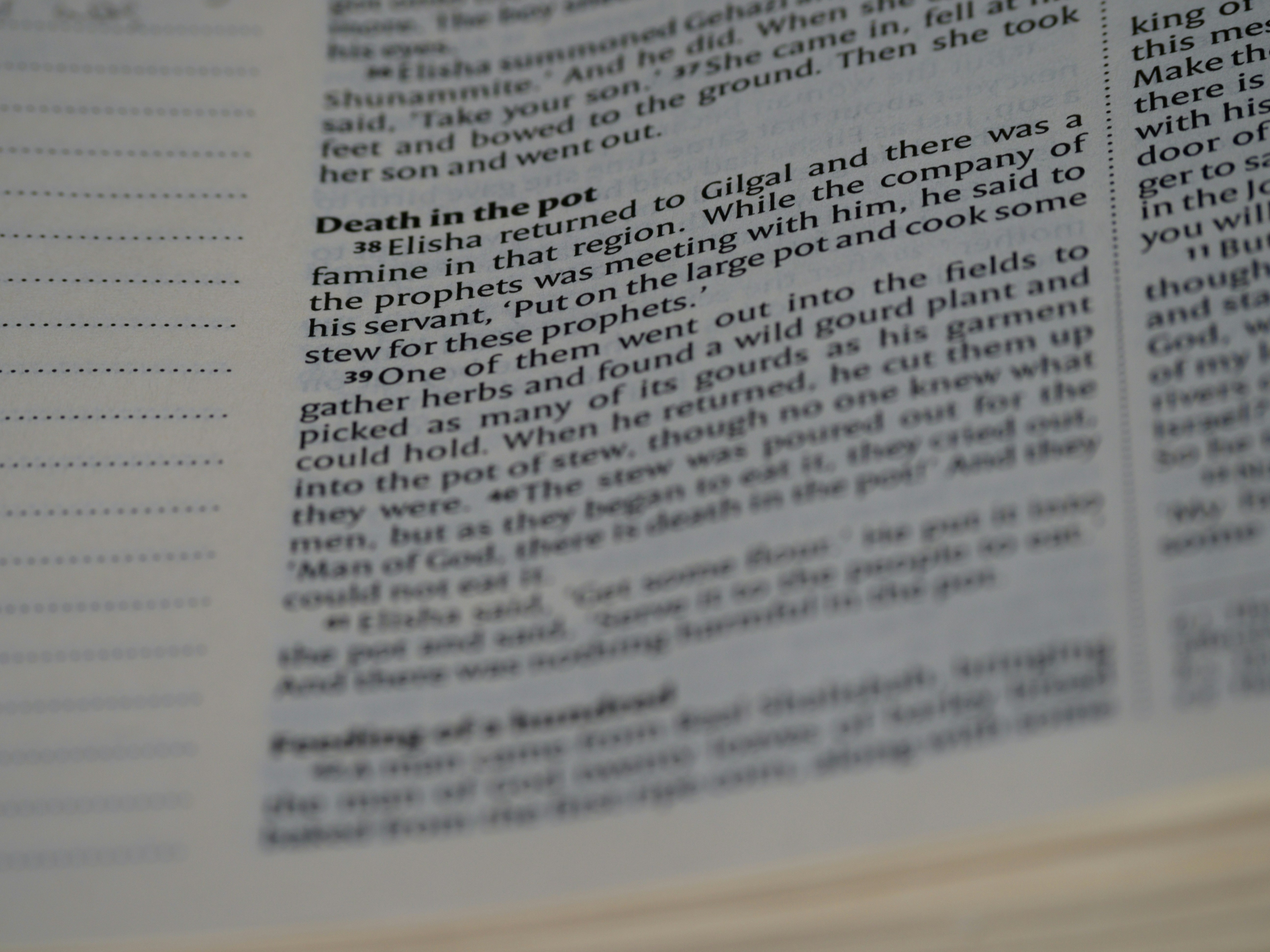 부고니아 관람 전 필독 포인트 정리법 관련 이미지1