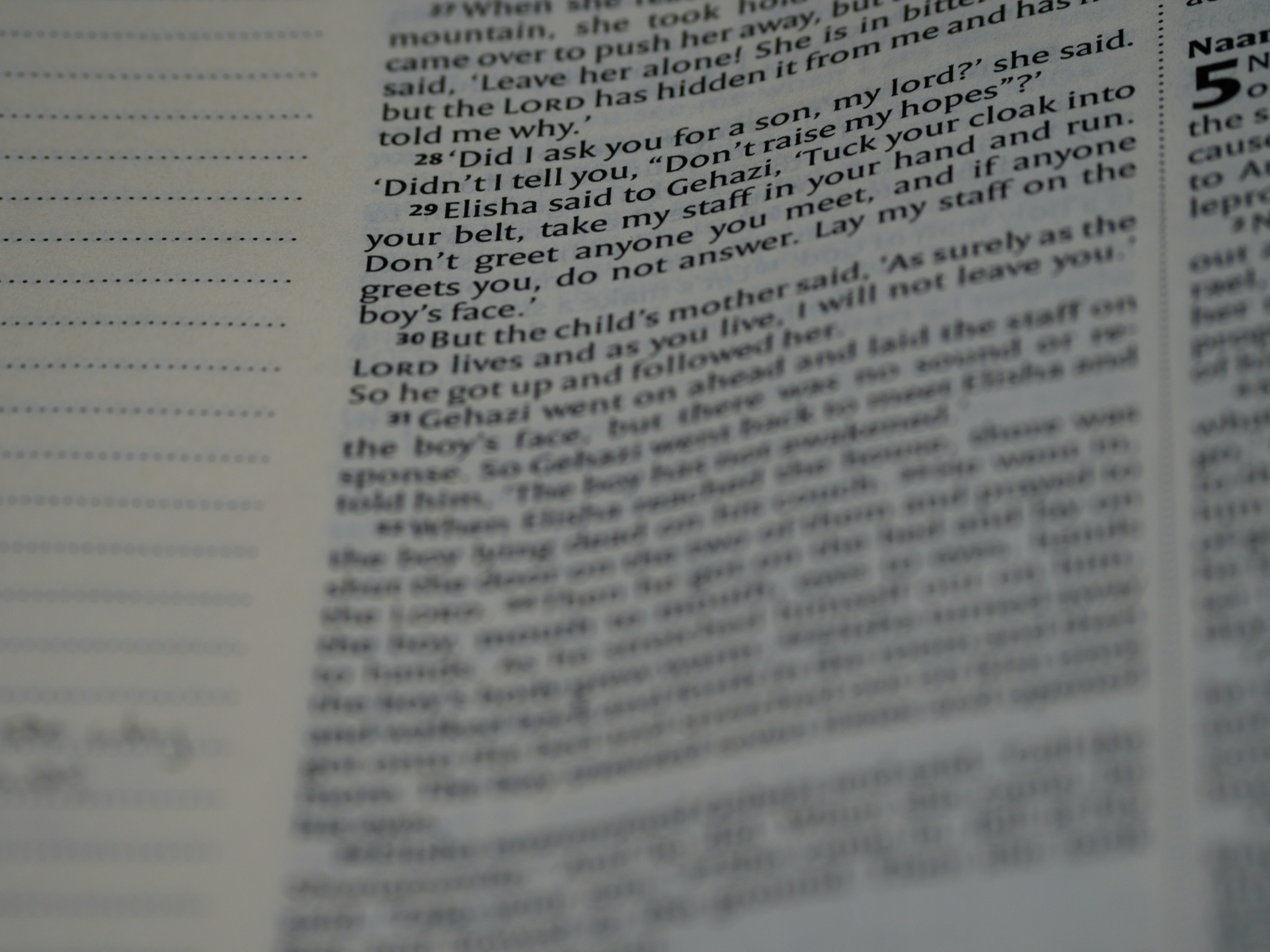 Photo by brett_jordan