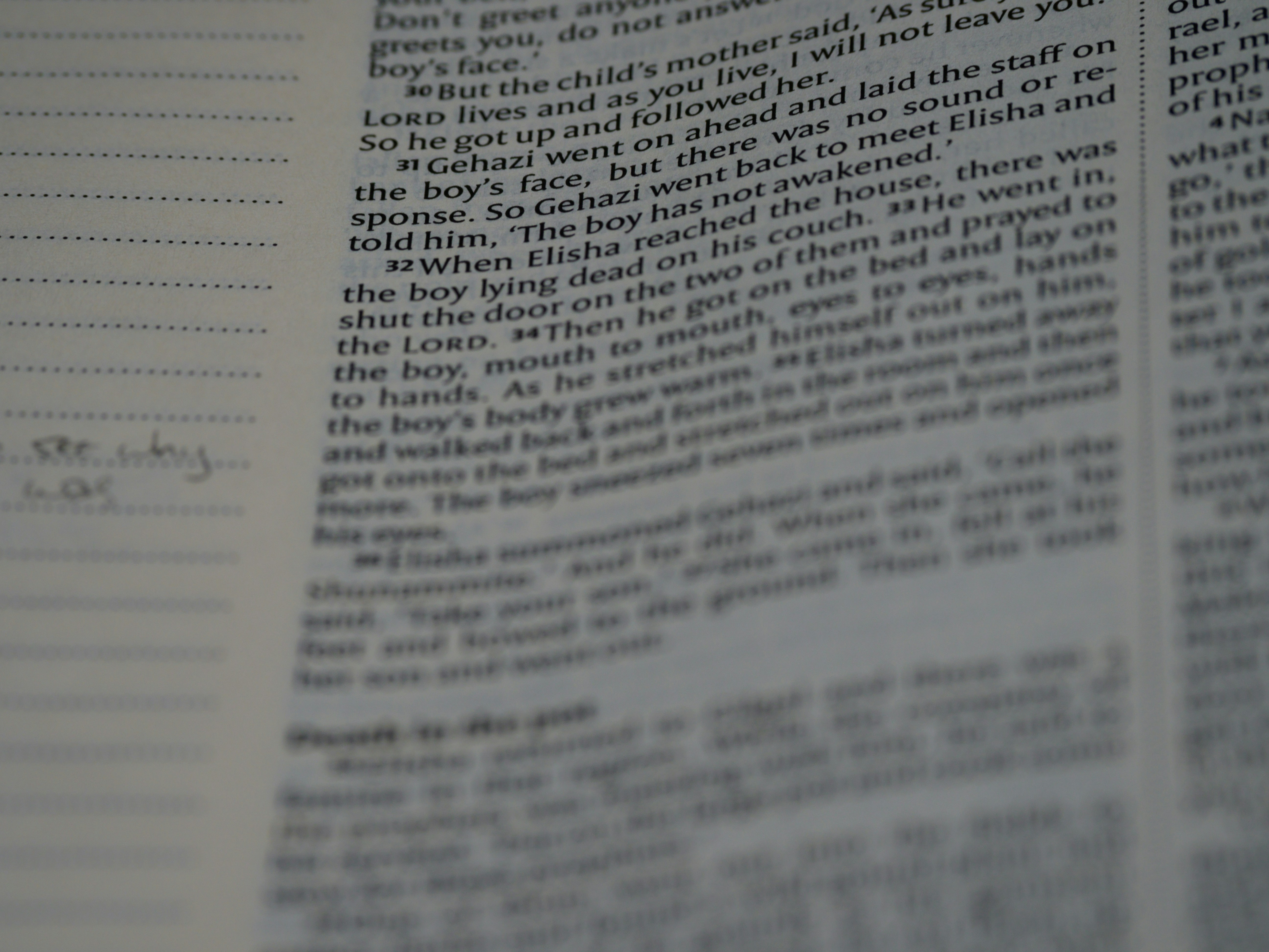 Photo by brett_jordan