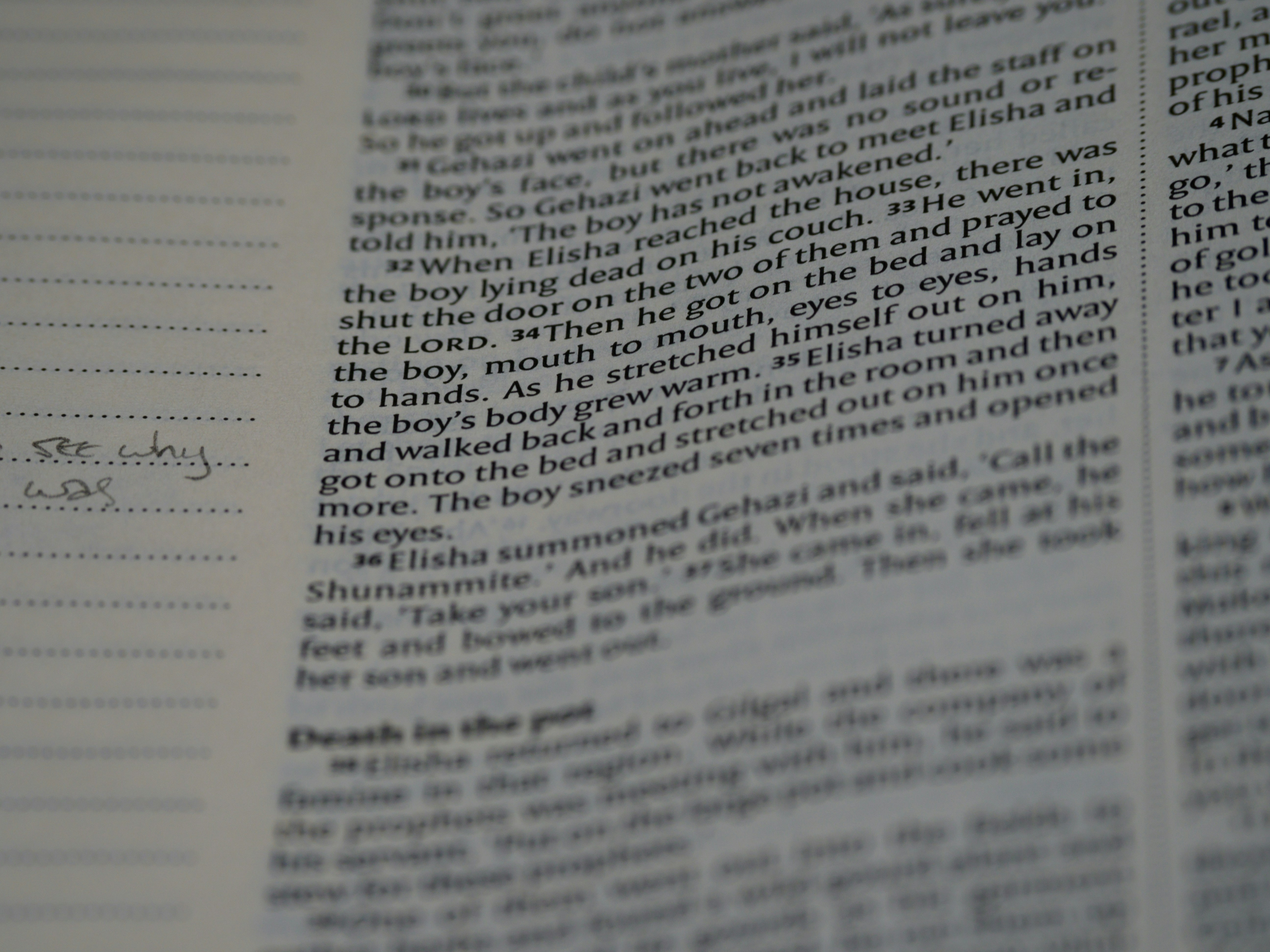 Photo by brett_jordan