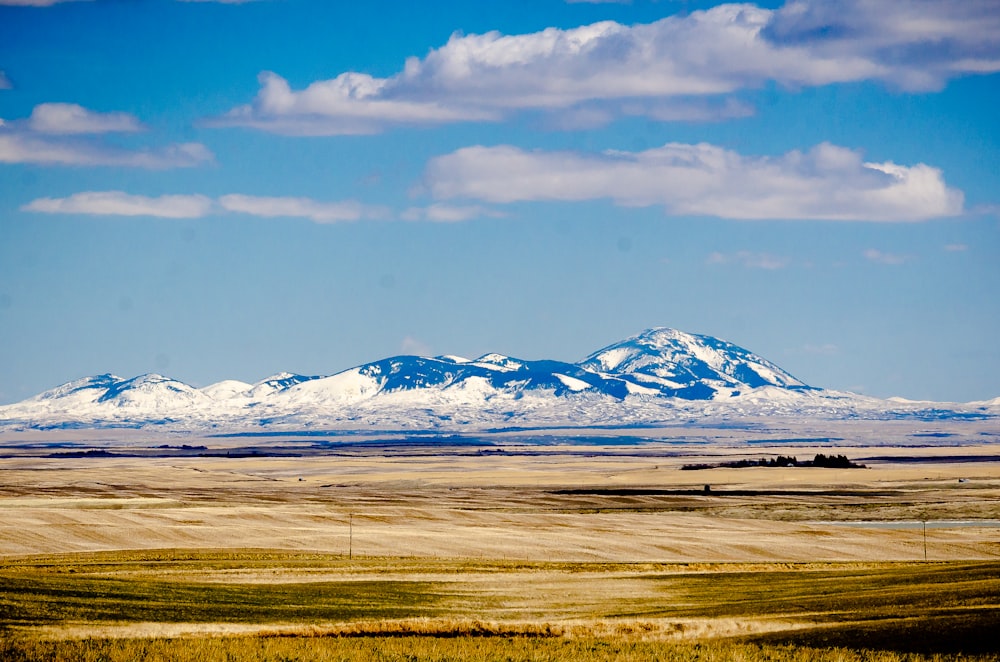 white and black mountains under blue sky during daytime