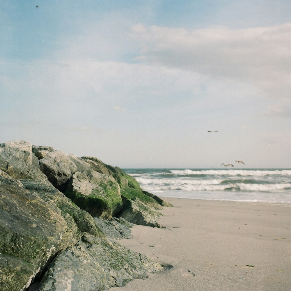 gray rock formation on seashore during daytime