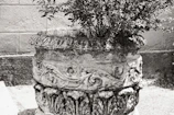 Close-up of a handcrafted planter showcasing fine metalwork details.