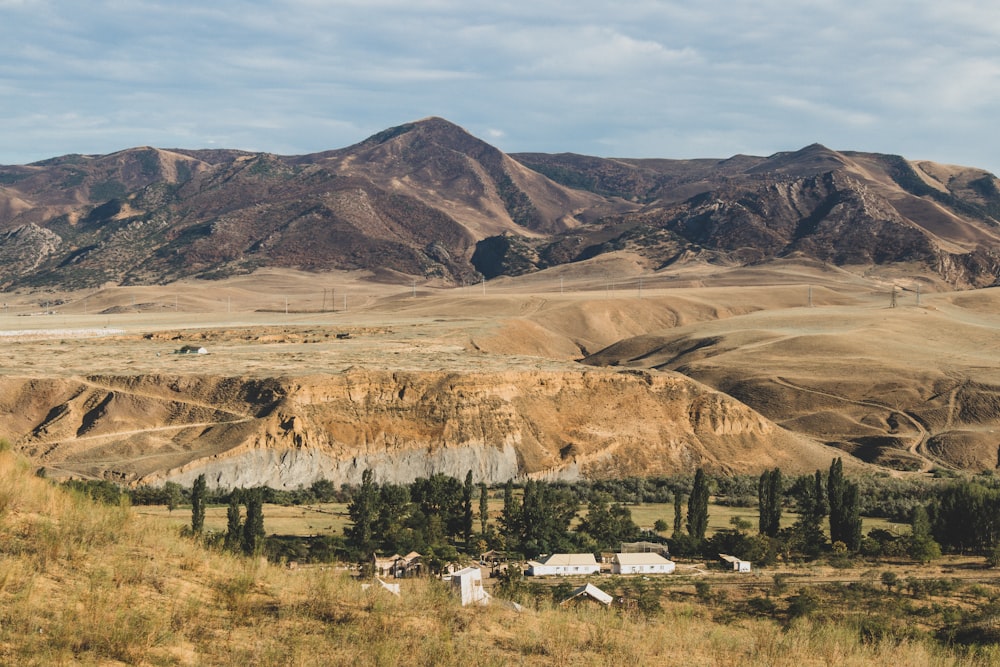 Grüne Bäume auf braunem Feld in der Nähe von Brown Mountain unter weißen Wolken tagsüber