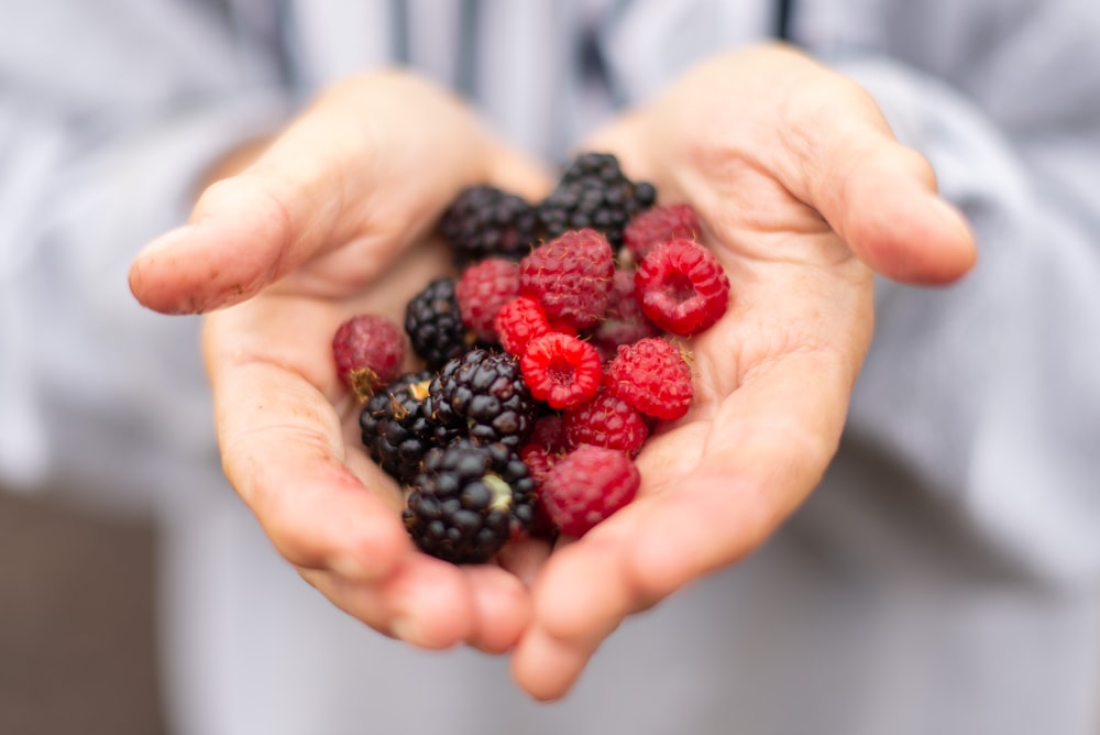 person holding black and red berries