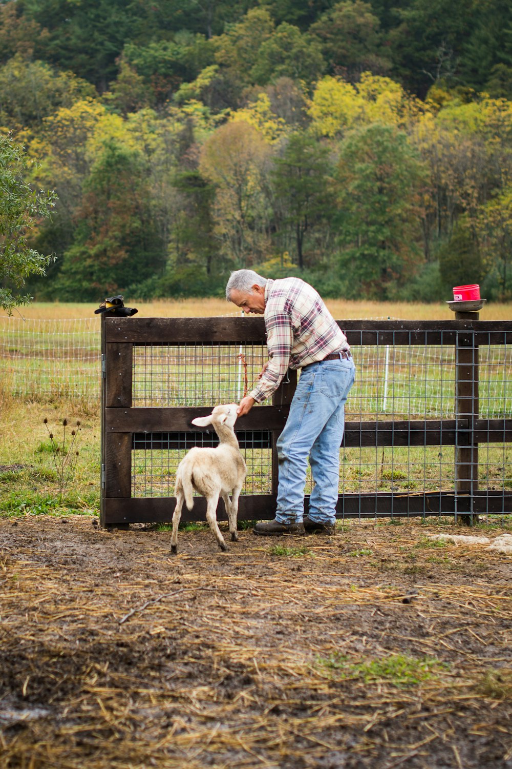 man in blue dress shirt holding white short coated dog during daytime