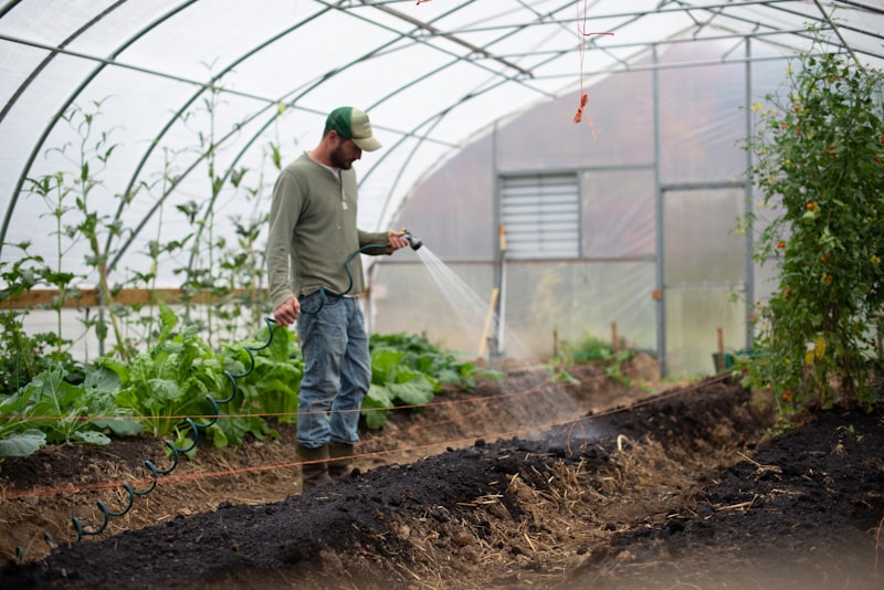 American farmer tending crops