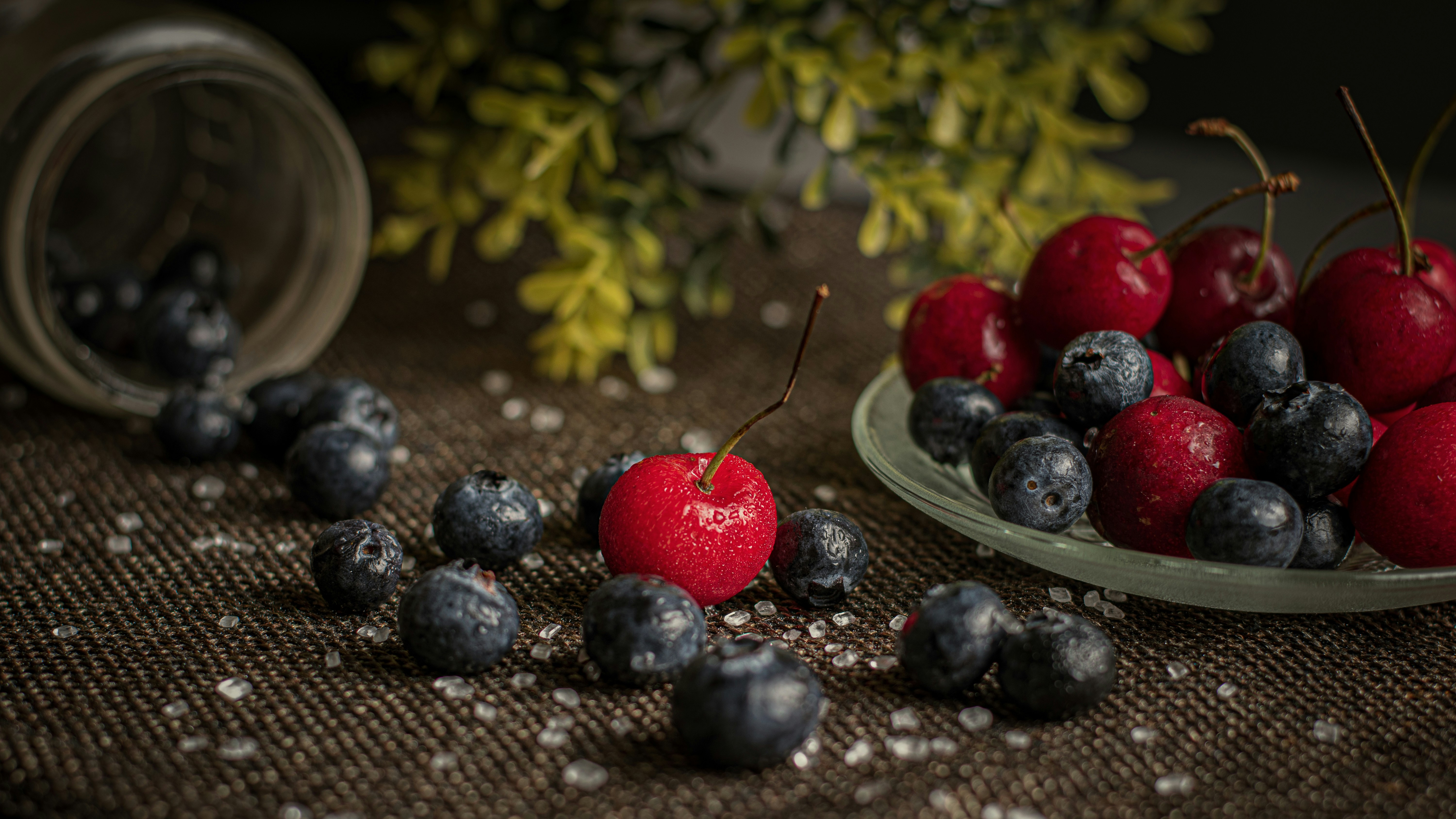 Photo by pranjallk1995