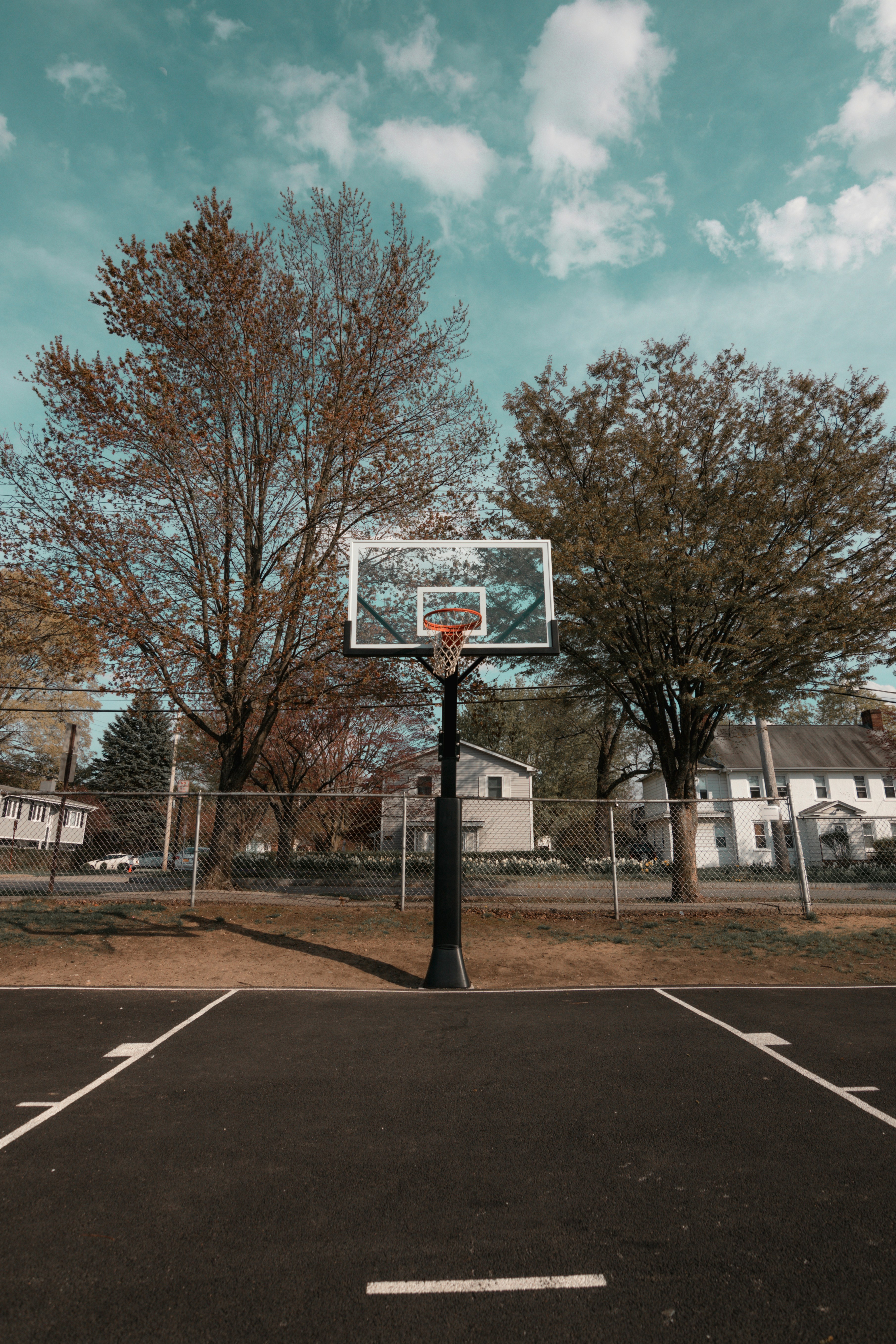basketball hoop near bare trees during daytime photo Free Sports