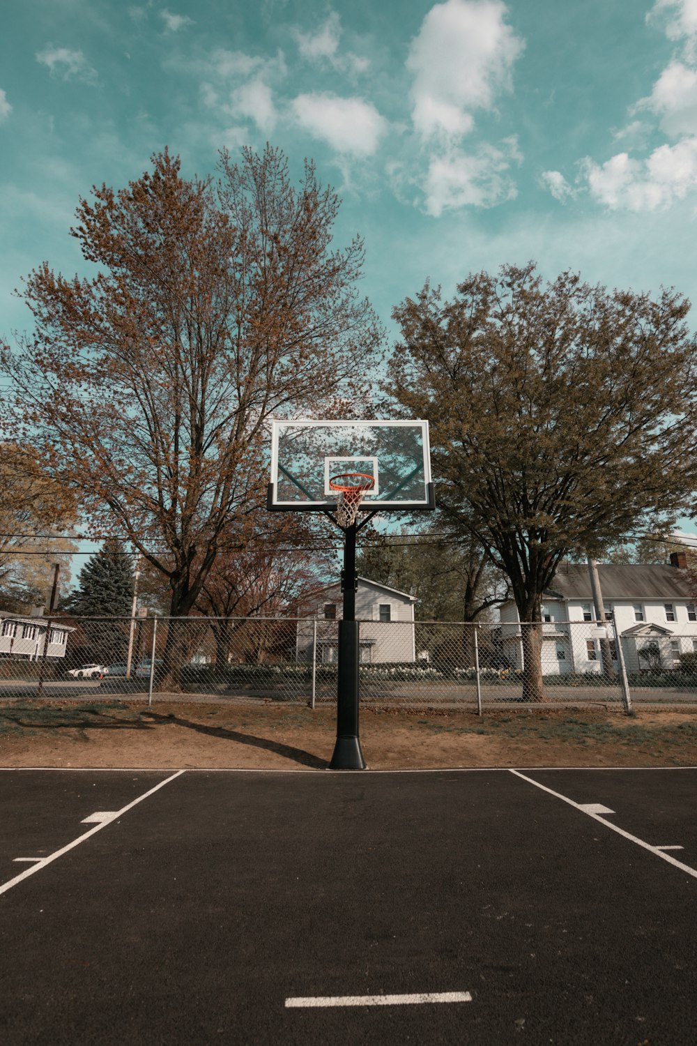 basketball hoop near bare trees during daytime