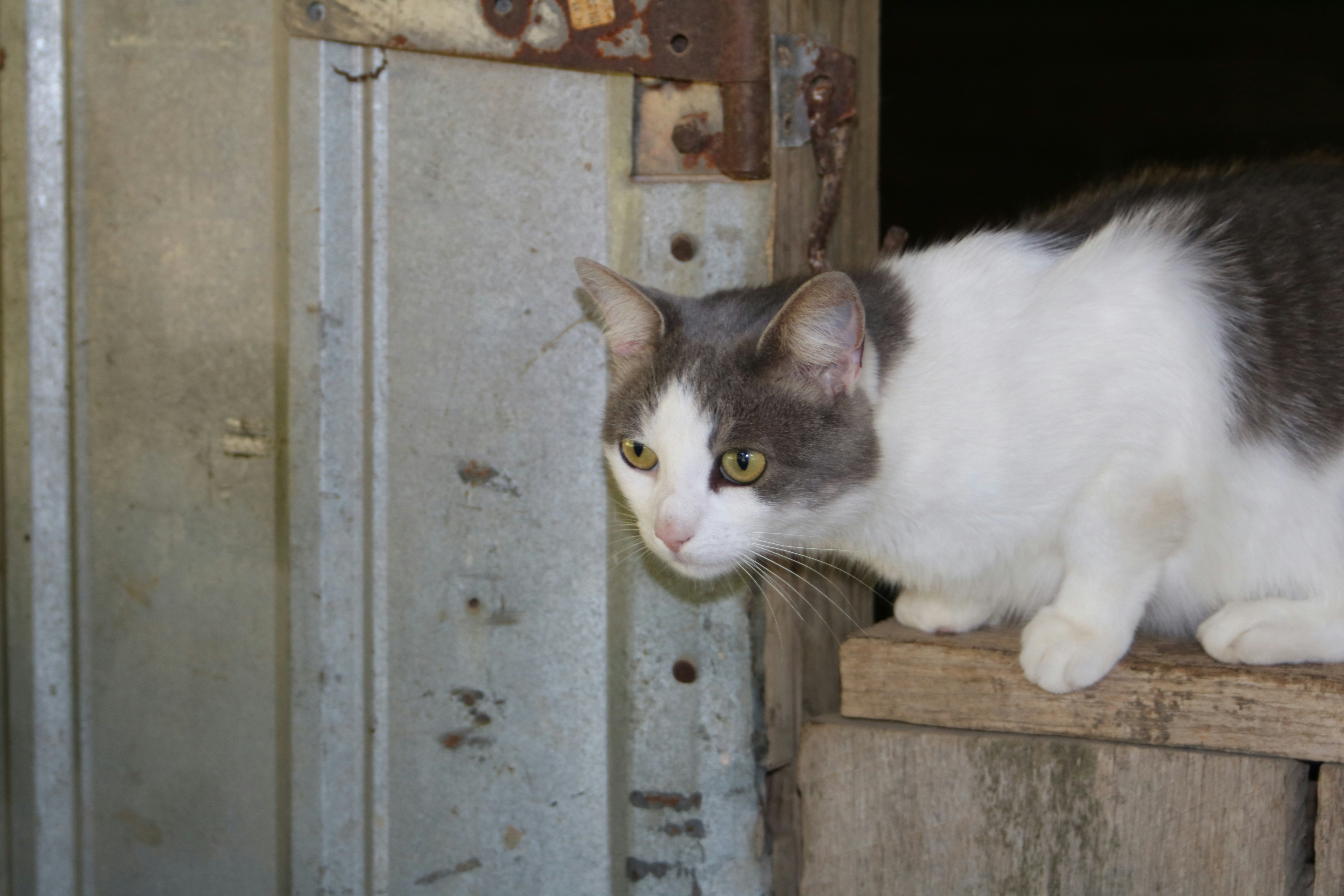 Photo by free_indeed_john8_36