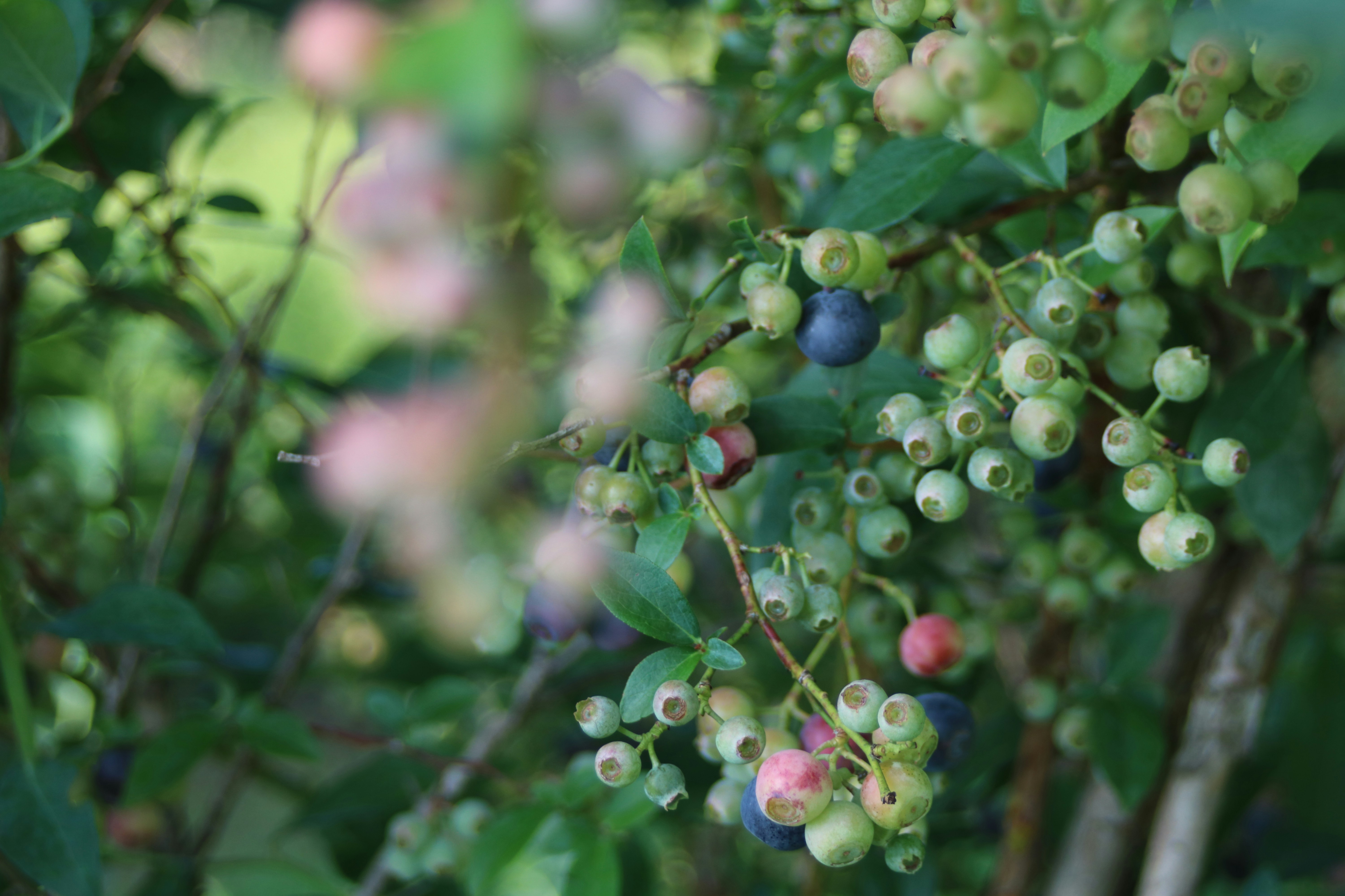 Photo by free_indeed_john8_36