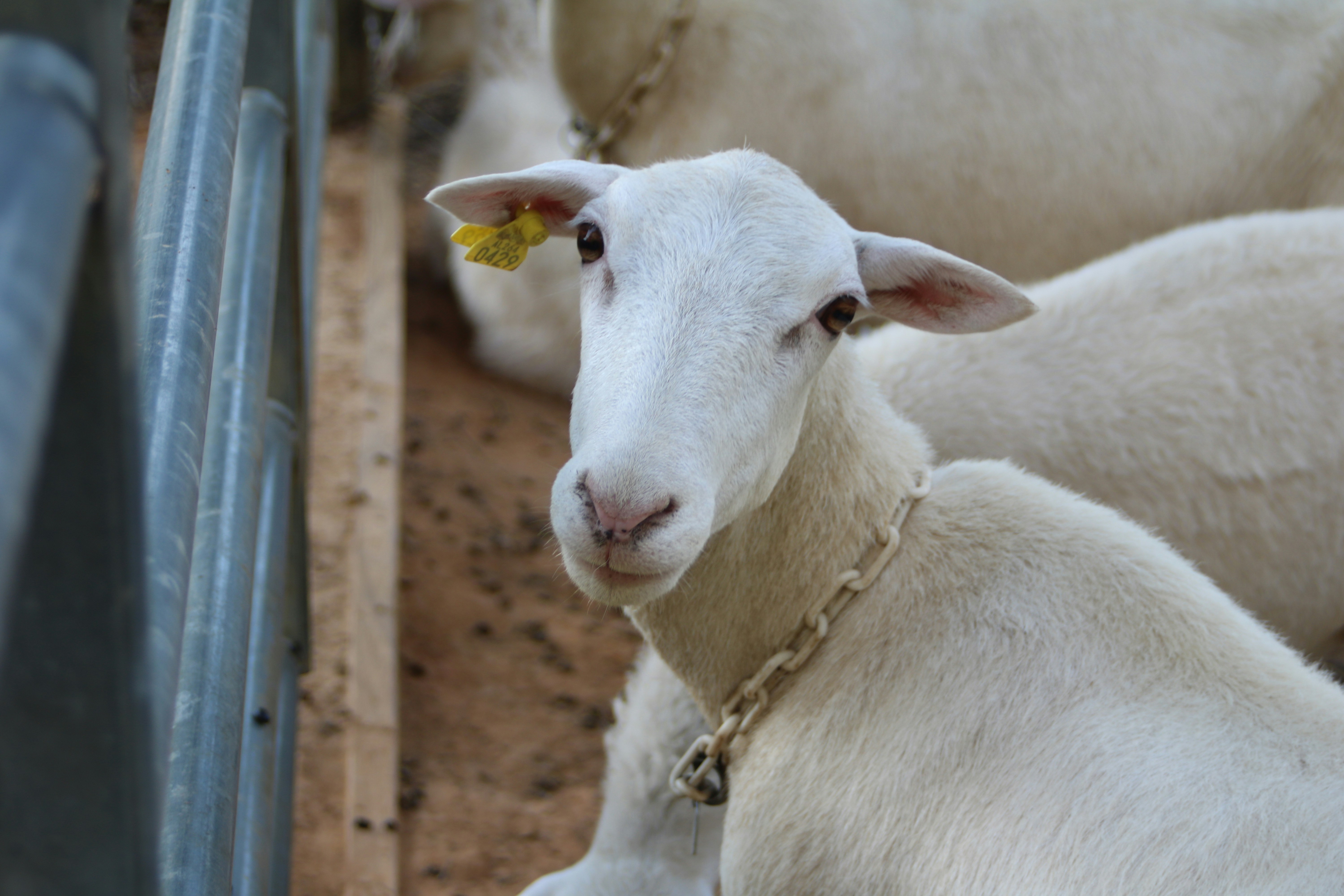 Photo by free_indeed_john8_36