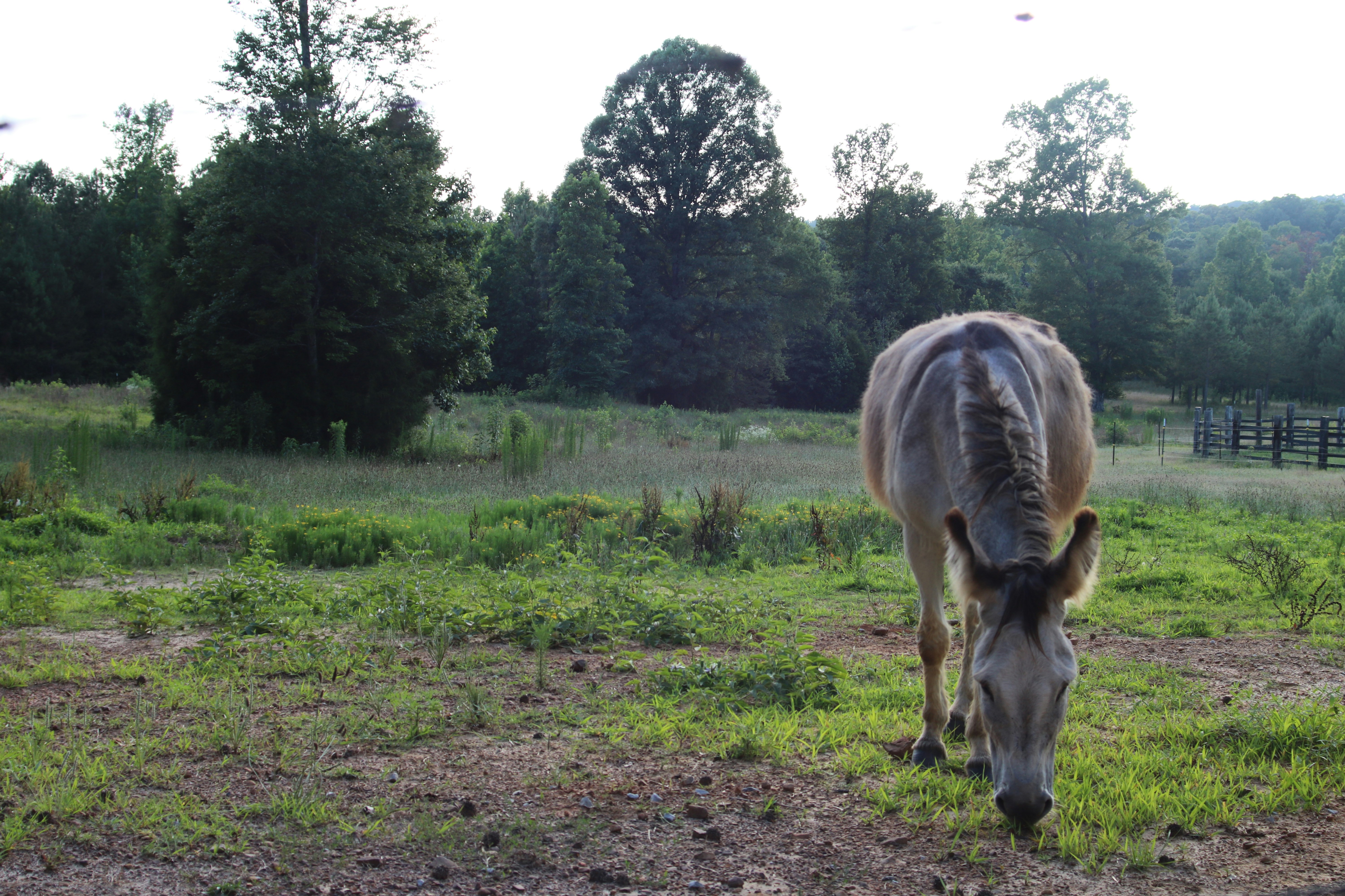 Photo by free_indeed_john8_36