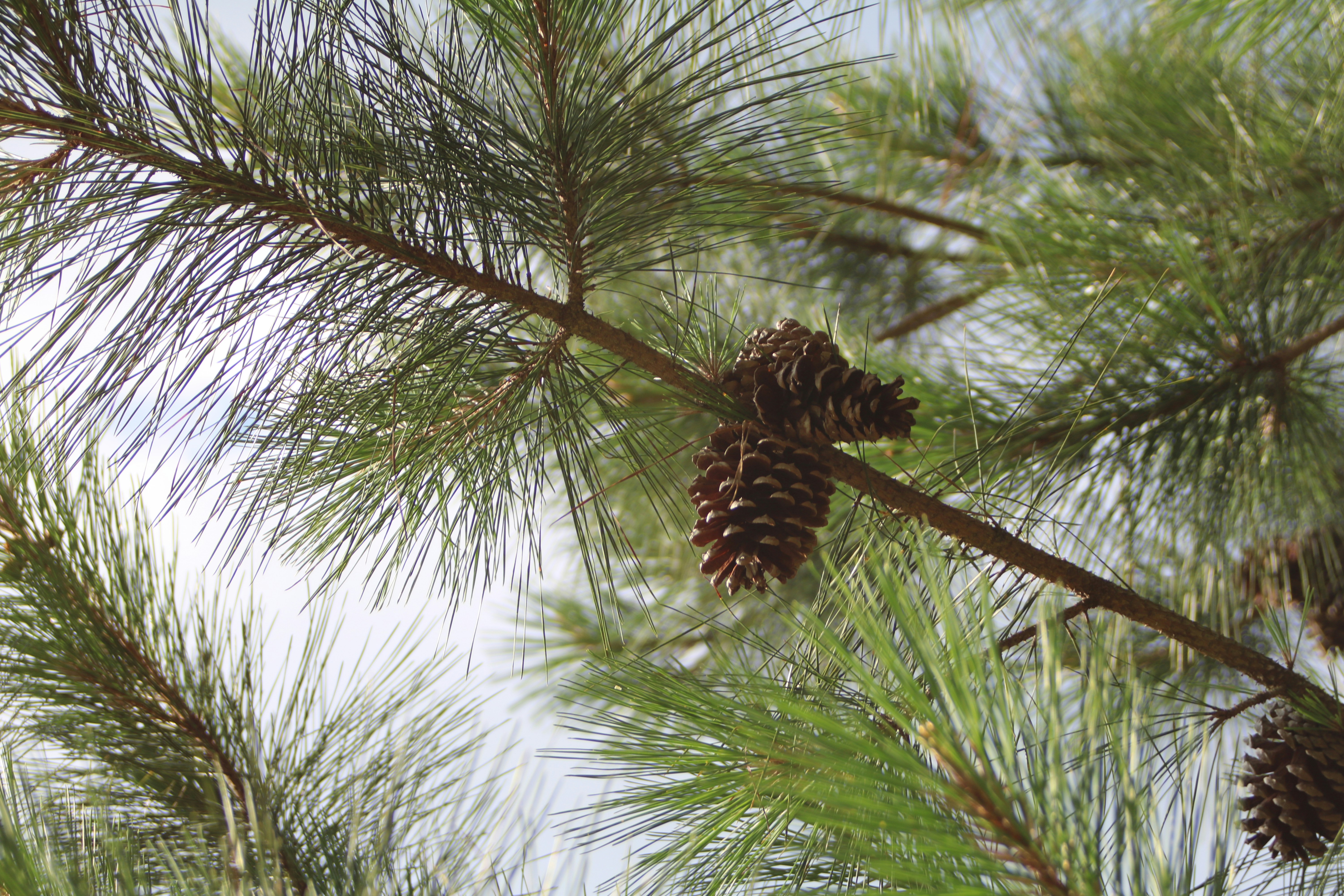 Photo by free_indeed_john8_36