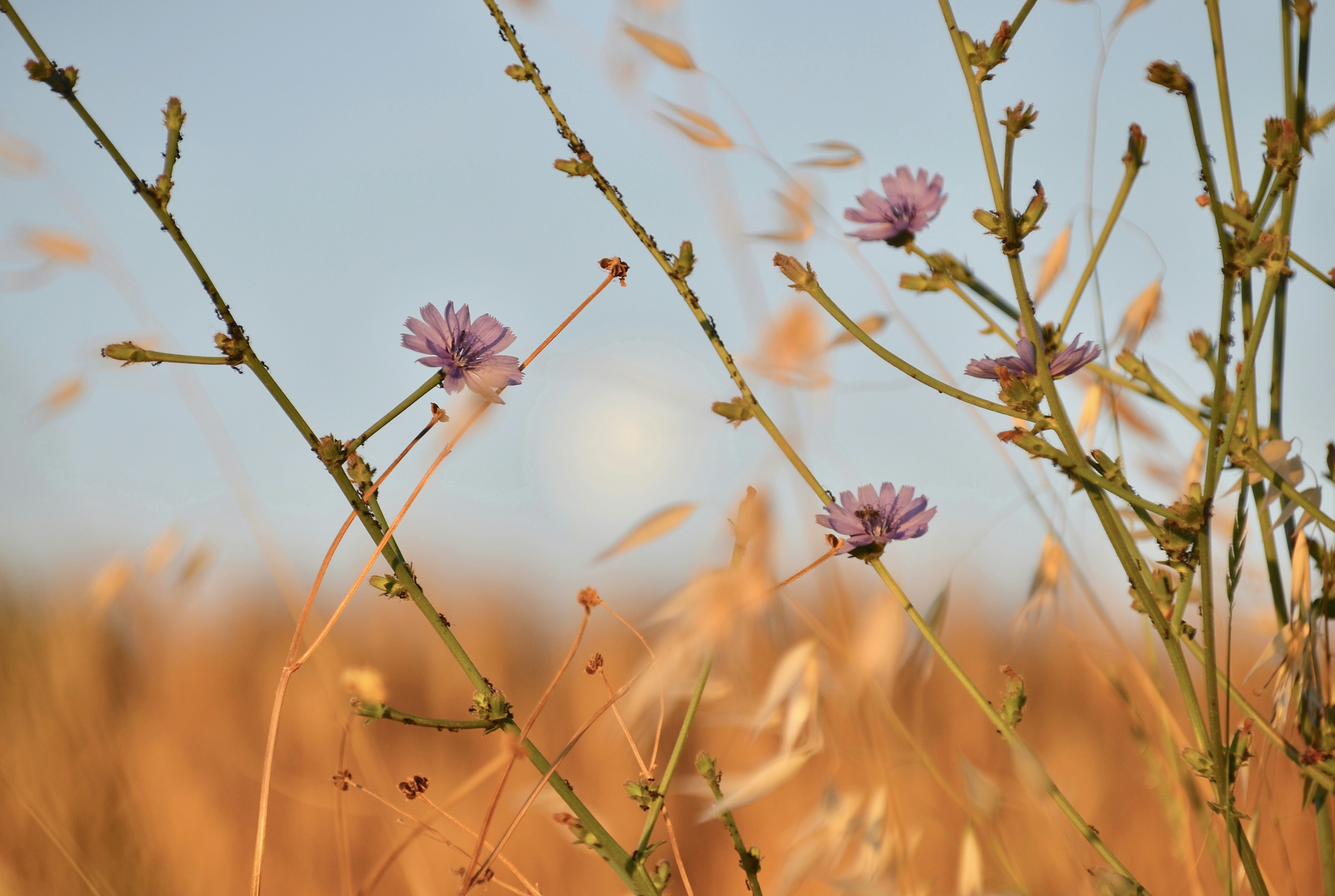 Photo by mariobeducci