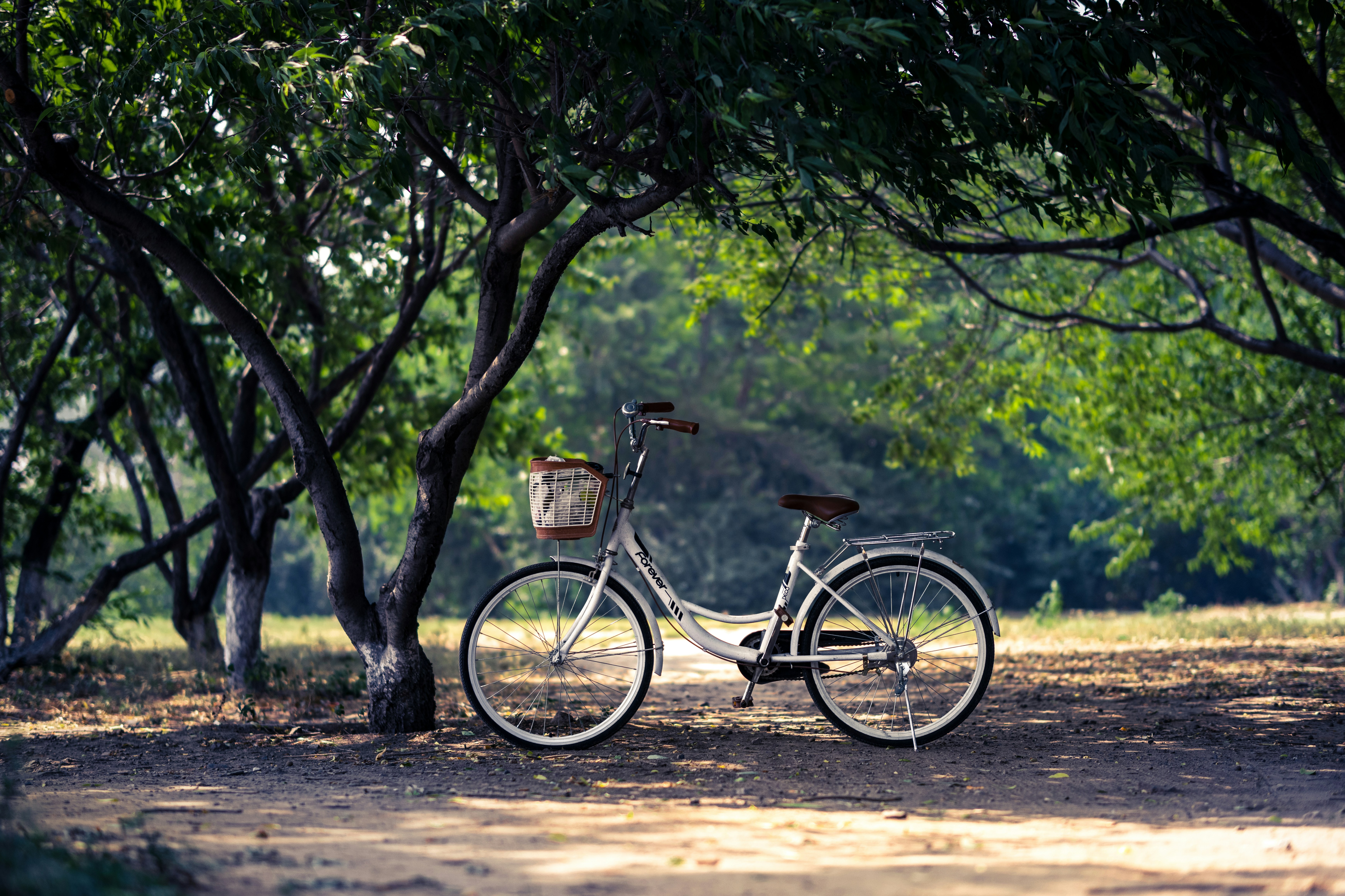 Photo by juliuscarmine