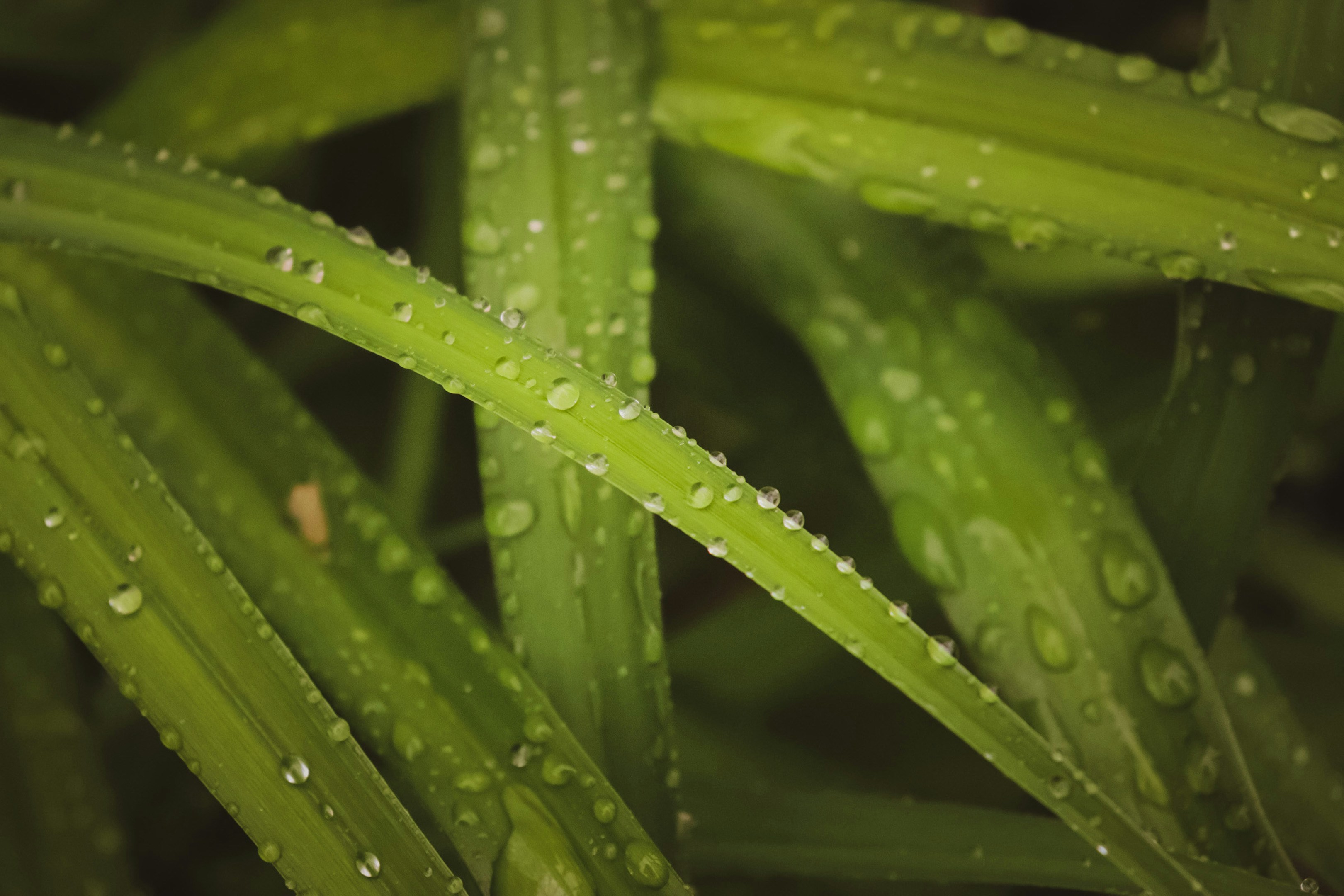 Photo by hlaurphotography