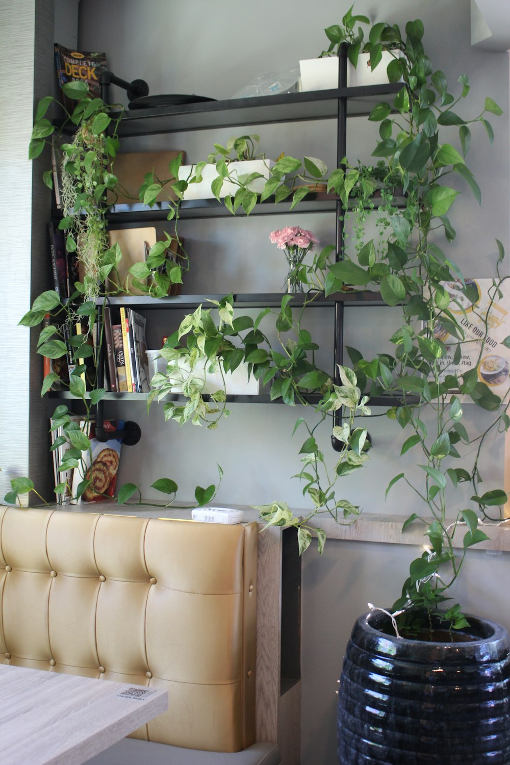 green plant on white wooden shelf