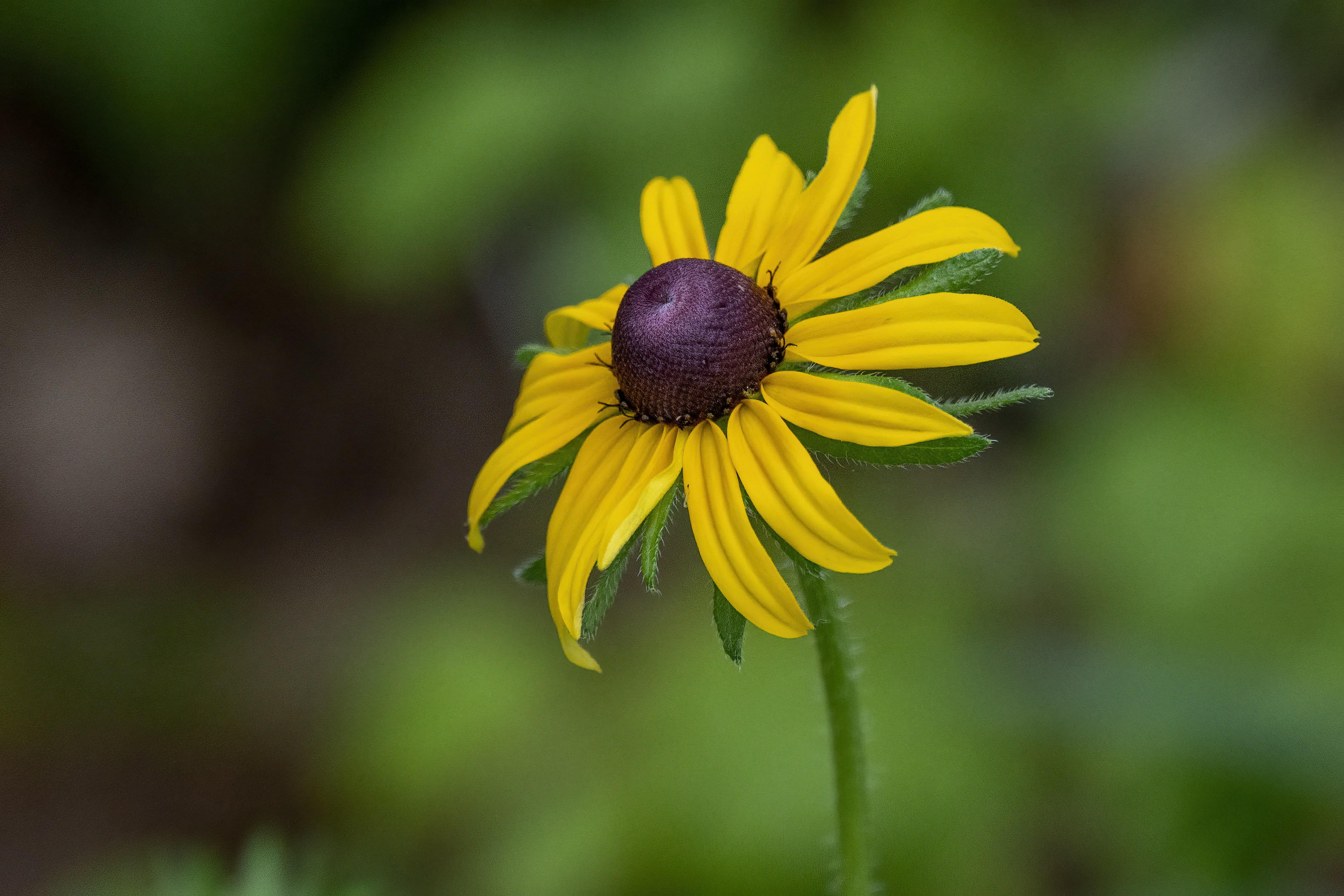 Photo by cholewinski