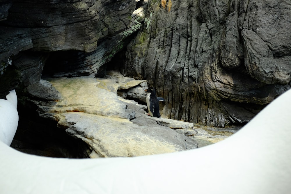 person in black shirt and black pants standing on rock formation during daytime