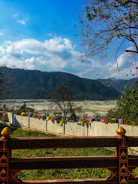 A serene Tibetan landscape with healing herbs.