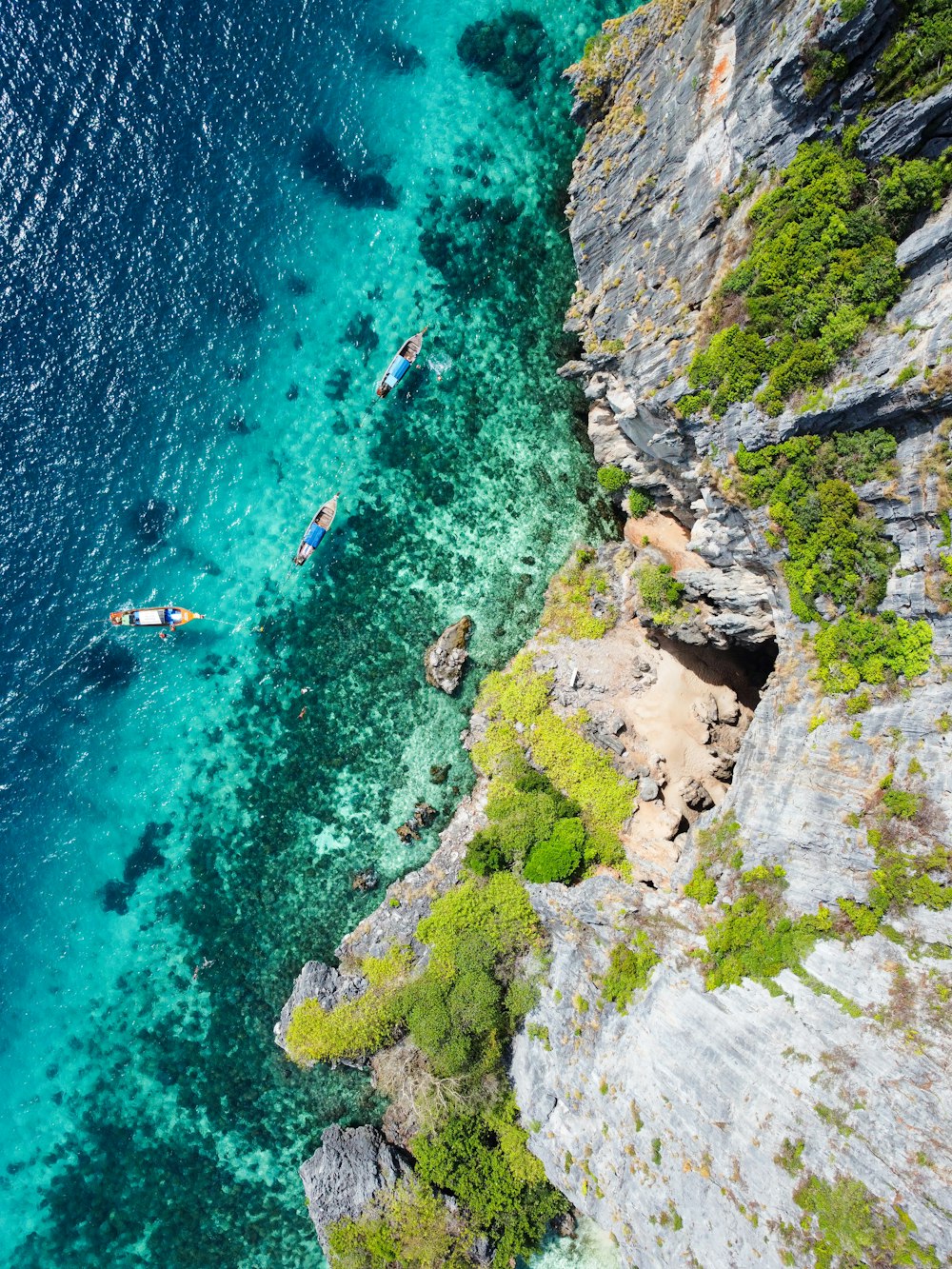 a group of people are swimming in the ocean