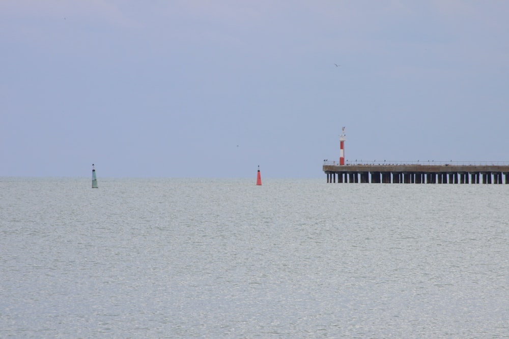 people on dock during daytime