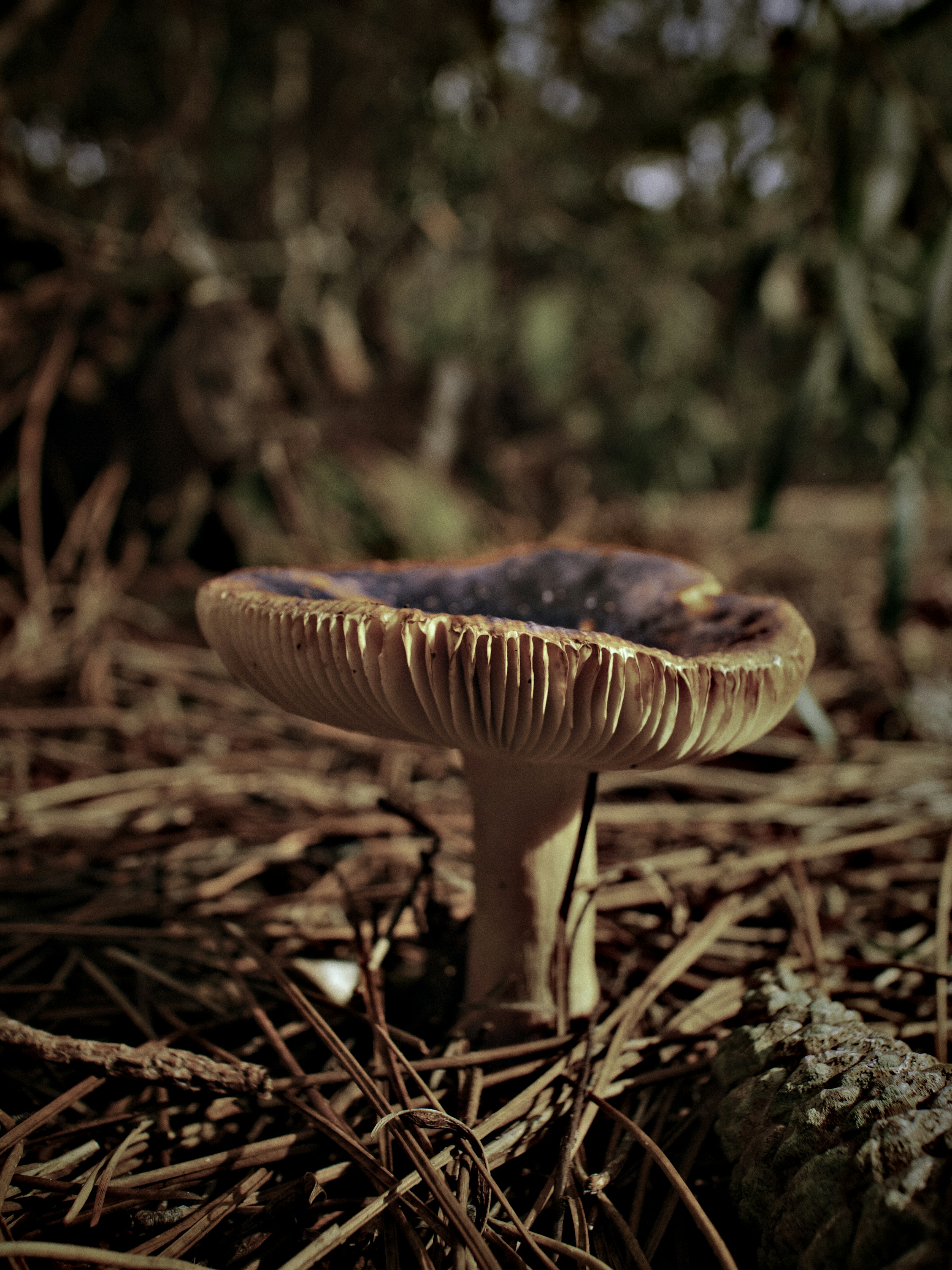 Photo by lucianoparis