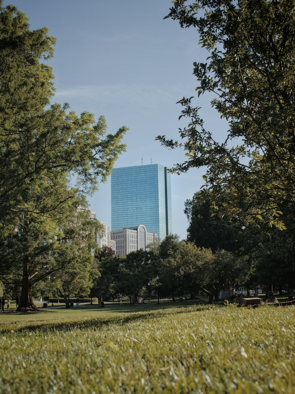 green trees near high rise building during daytime