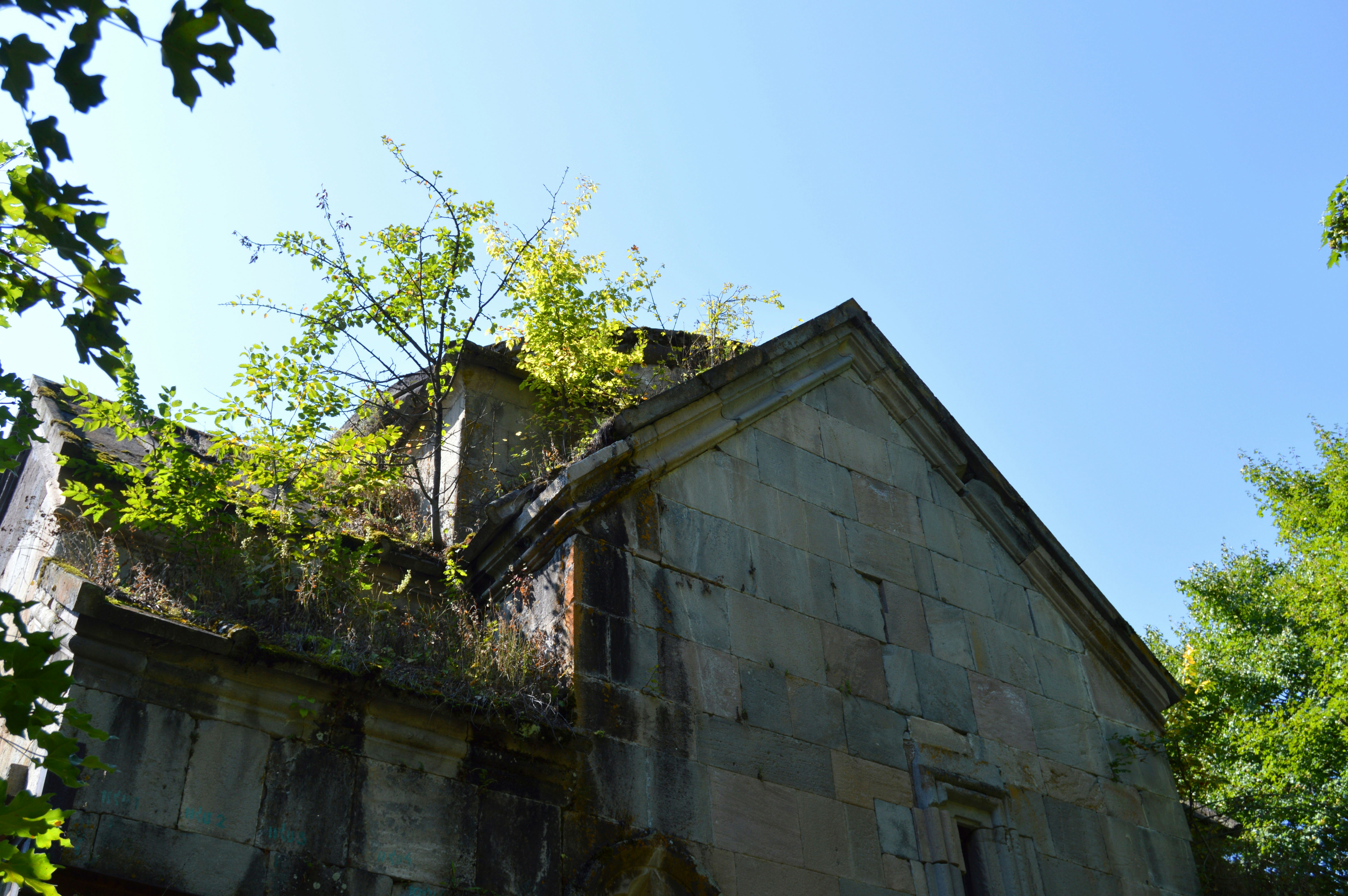 Photo by robertlevonyan