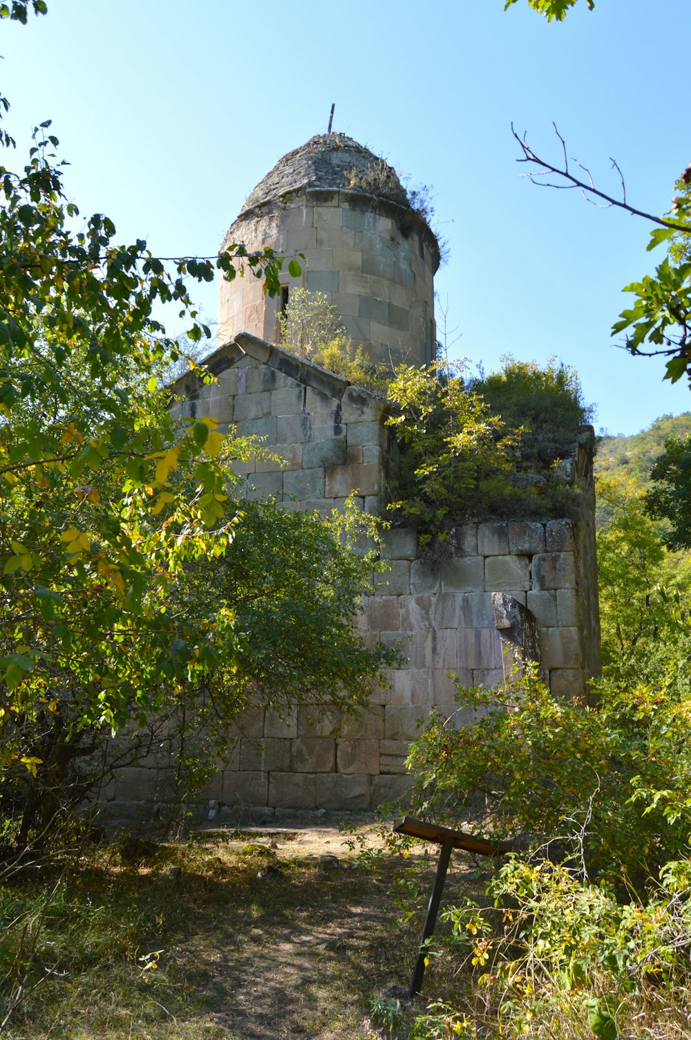 Árboles verdes cerca de edificios de hormigón gris durante el día