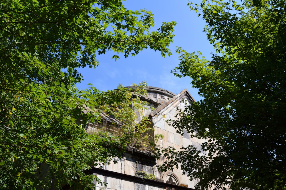 árvores verdes perto do edifício de concreto branco durante o dia