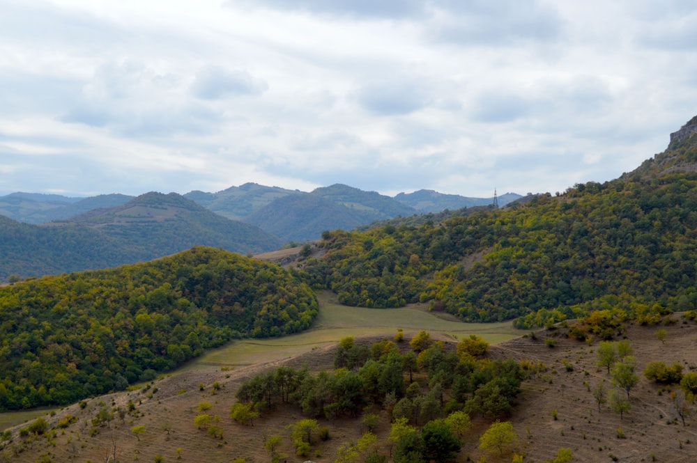 green trees on mountain under white clouds during daytime