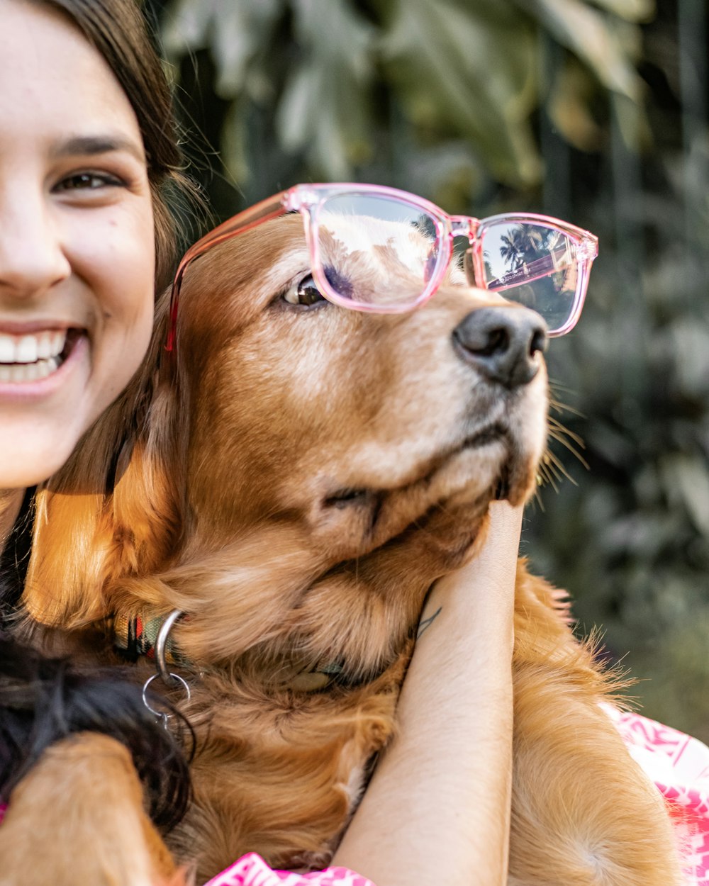 girl in black and white stripe shirt wearing sunglasses holding brown short coated dog