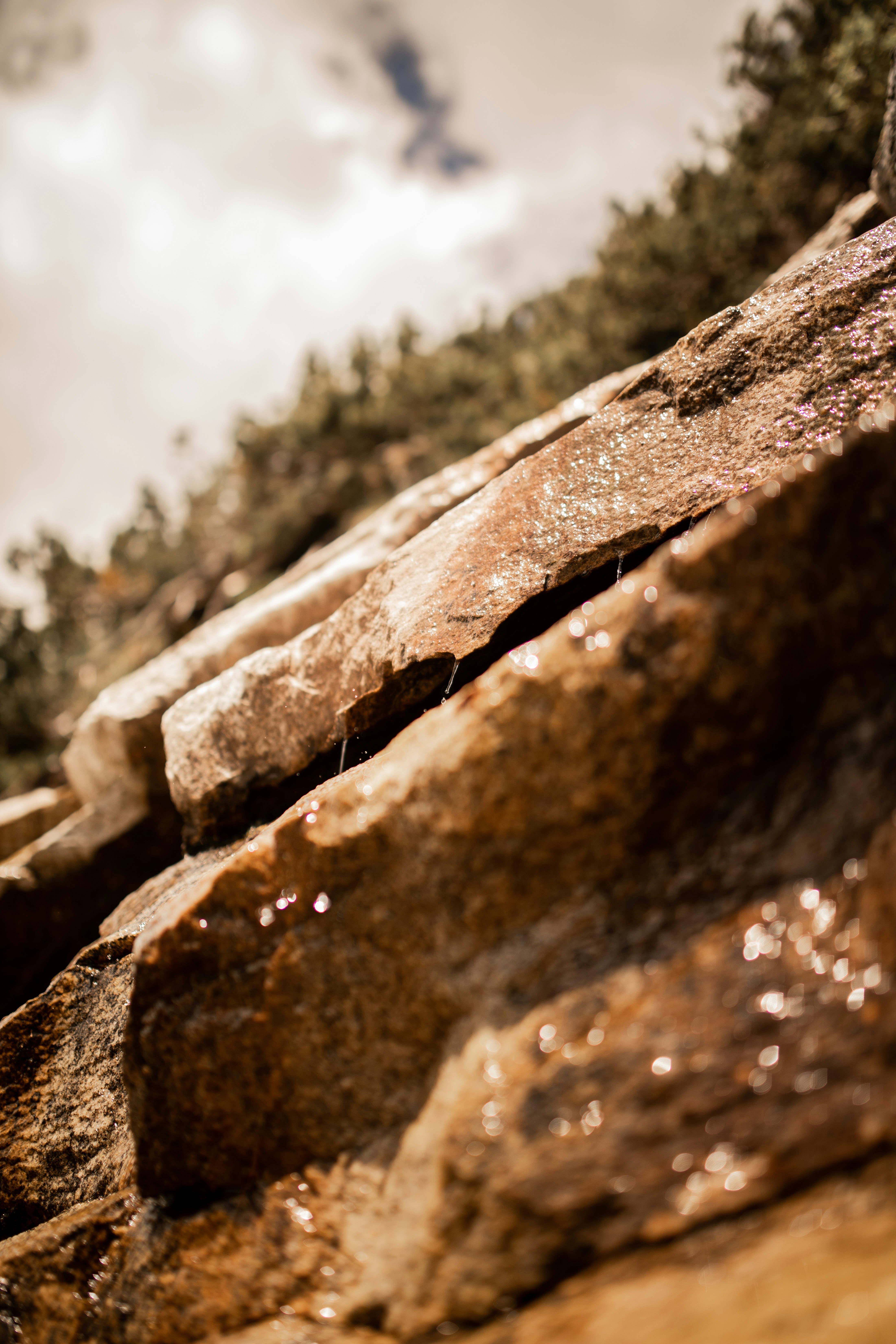 Photo by kajareichardtphotos