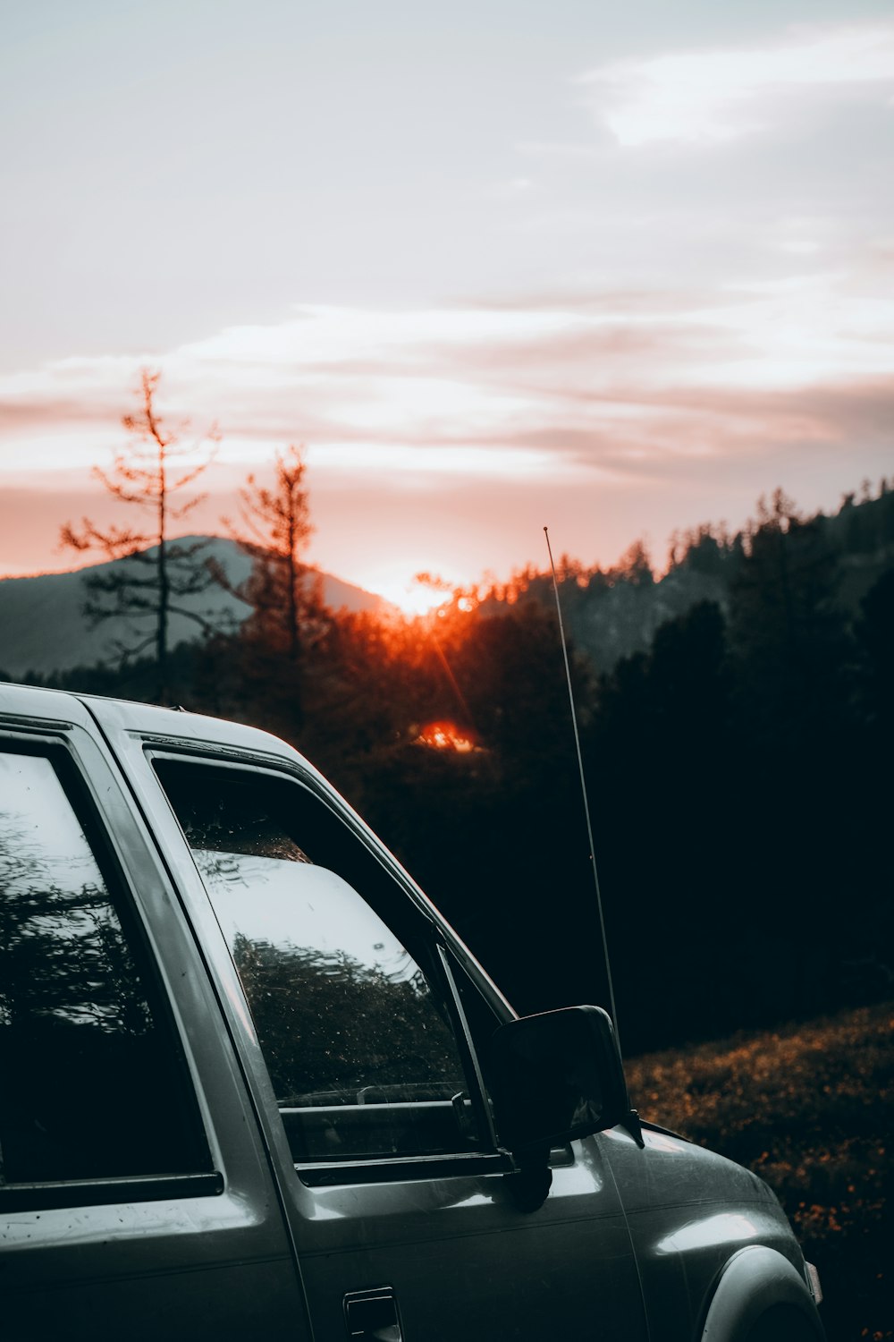 car window with the view of trees during sunset