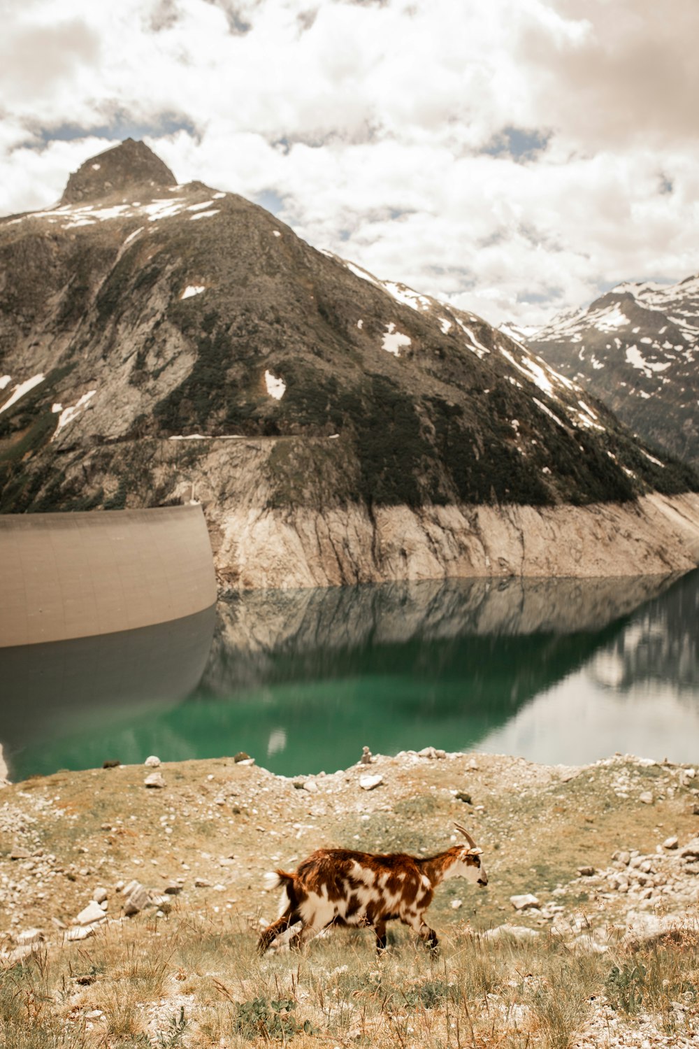 white canoe on brown sand near lake during daytime