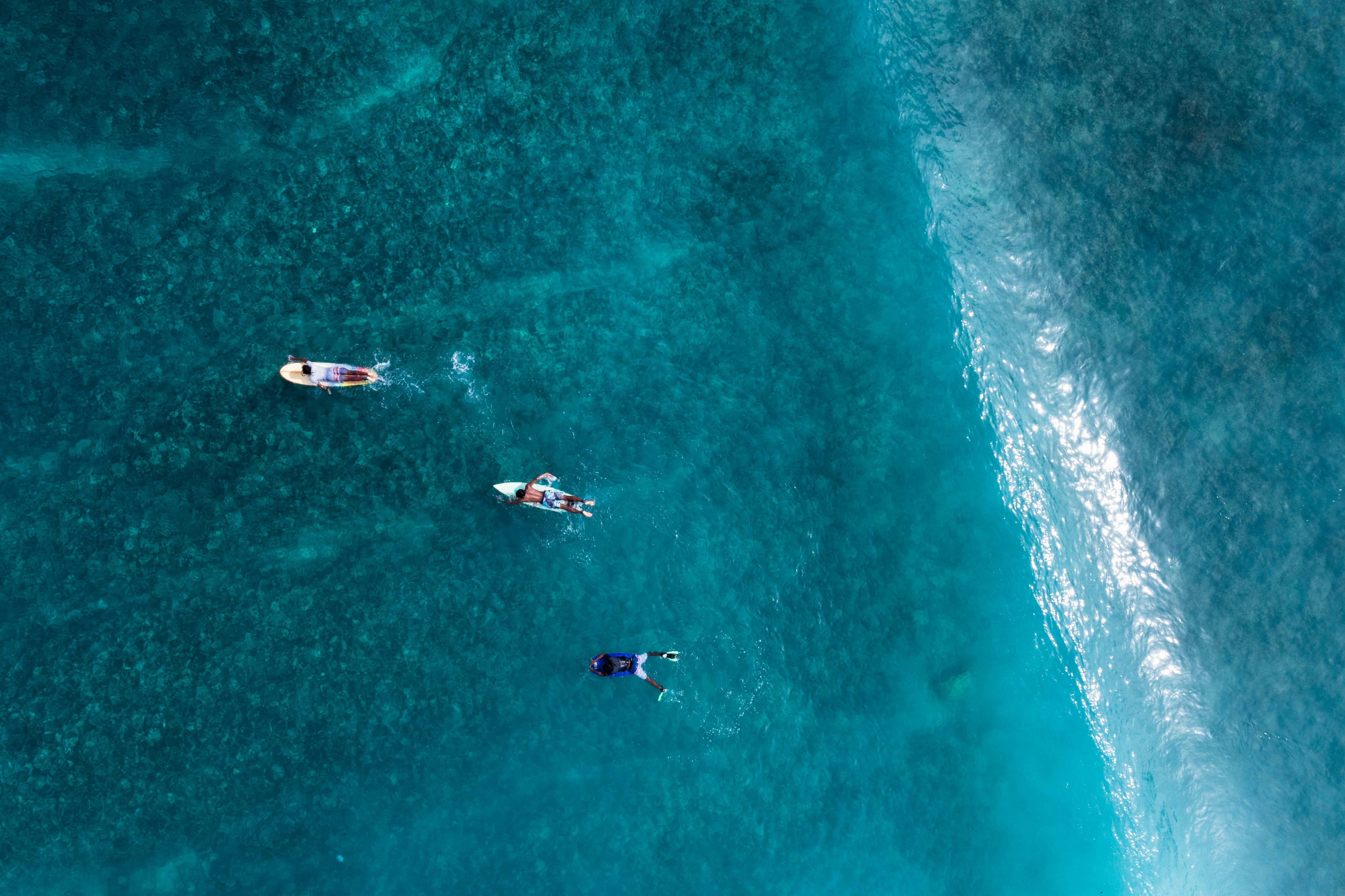 Family kayaking together in the ocean around Maui